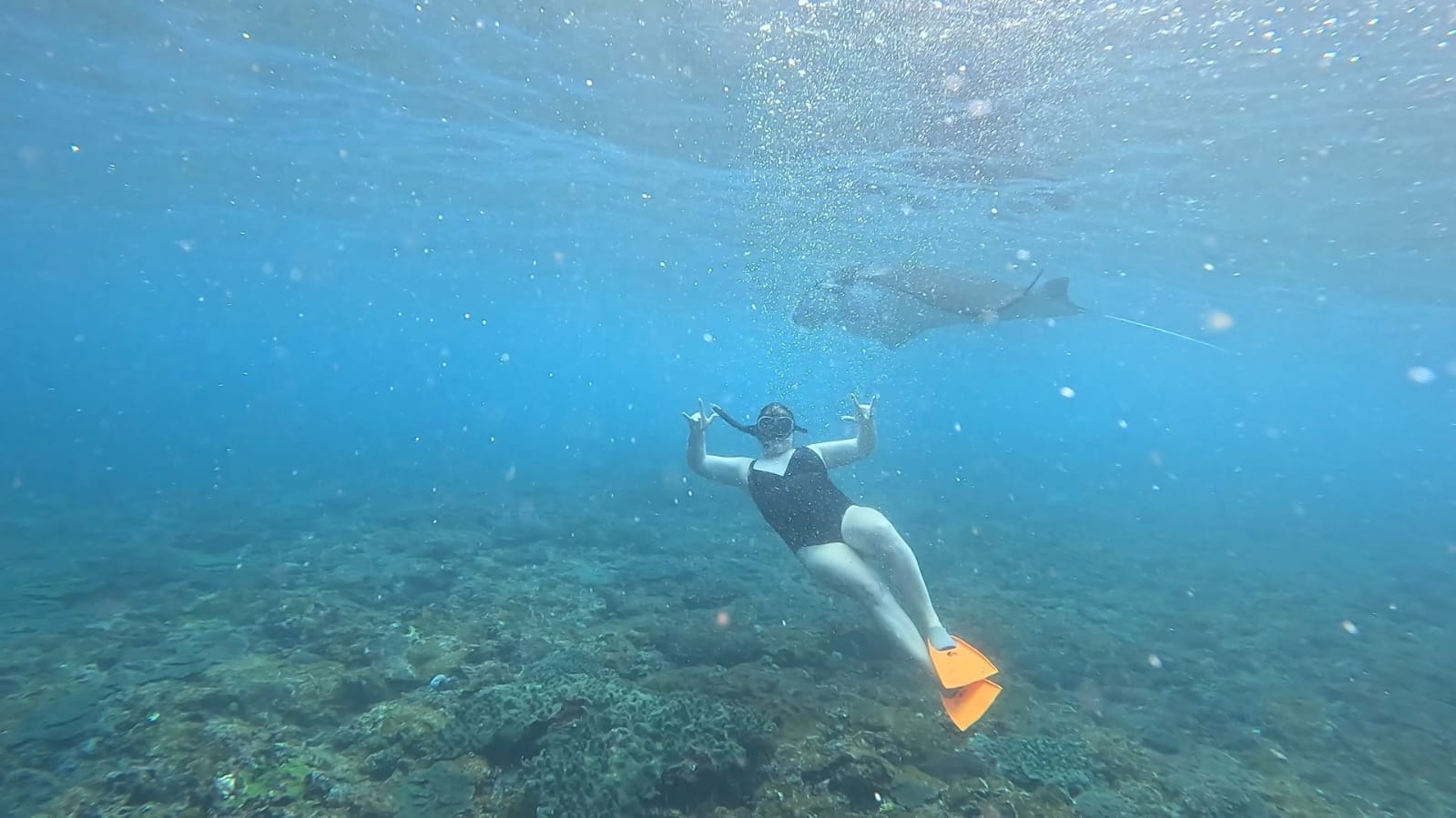 Private snorkeling trip in clear tropical ocean