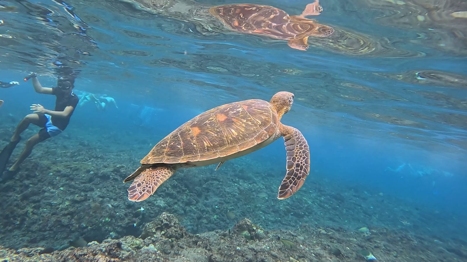 Sharing snorkeling trip with travelers in blue water