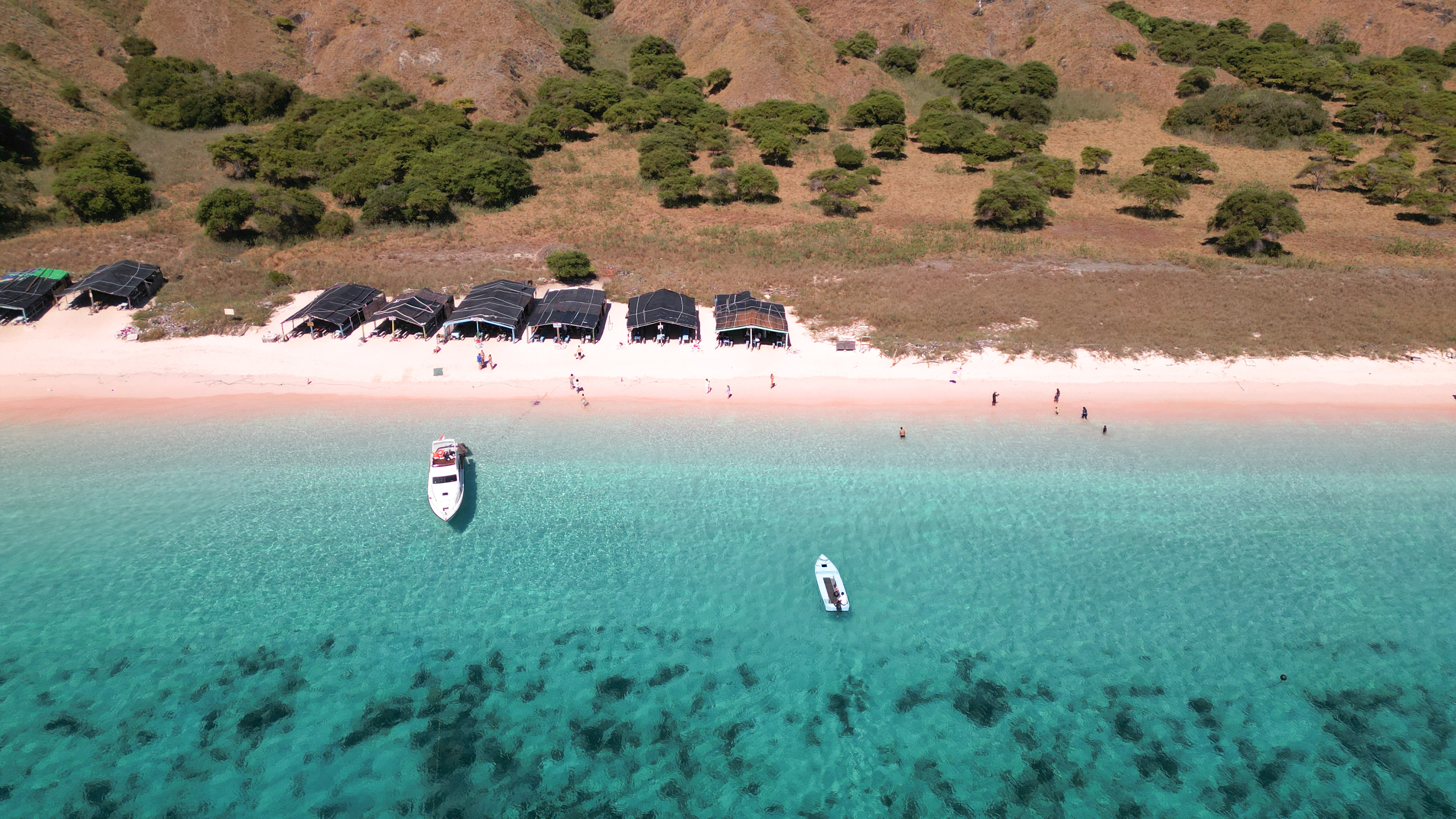 Pink Beach Komodo