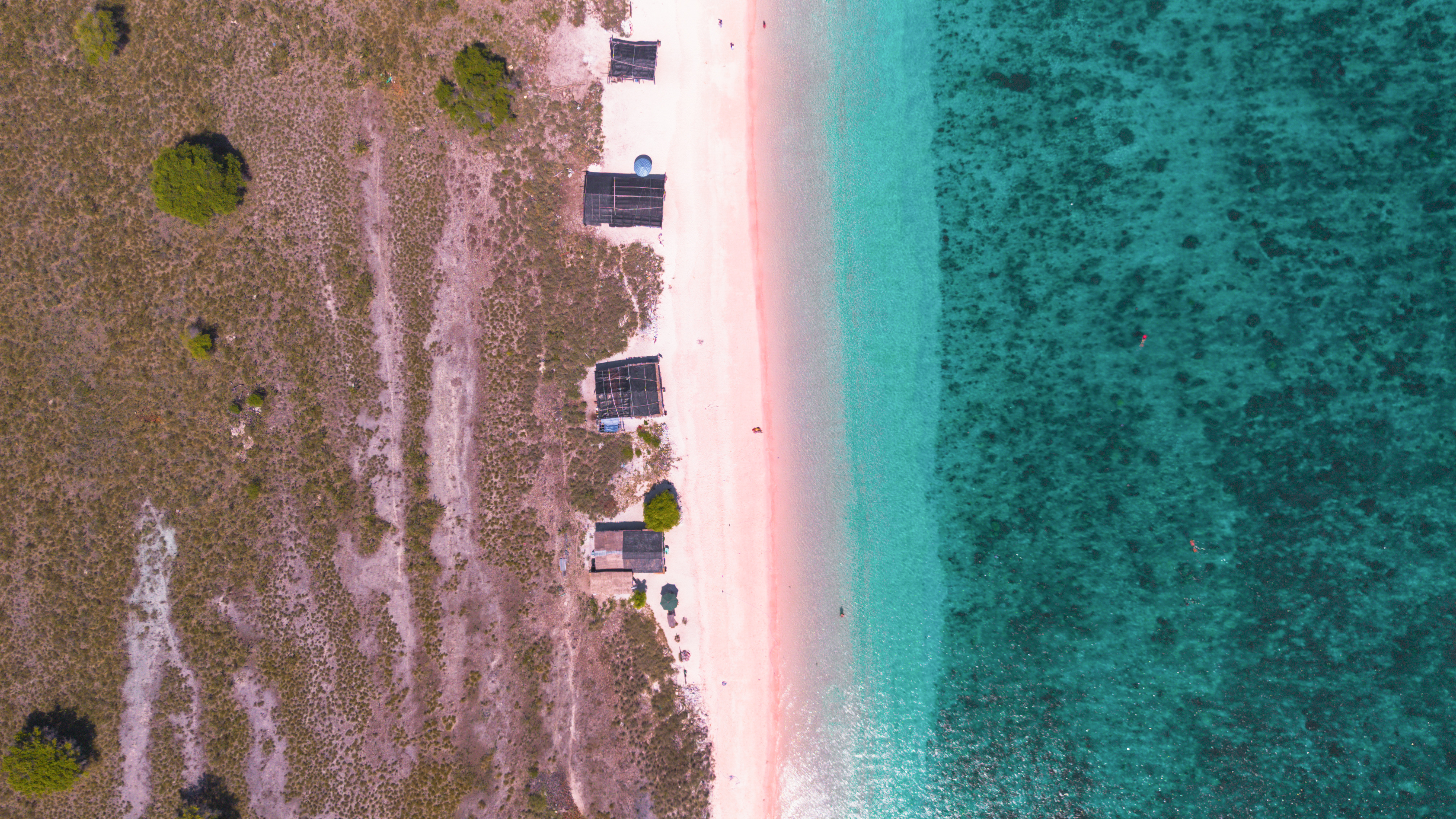 Pink Beach Coral Coast
