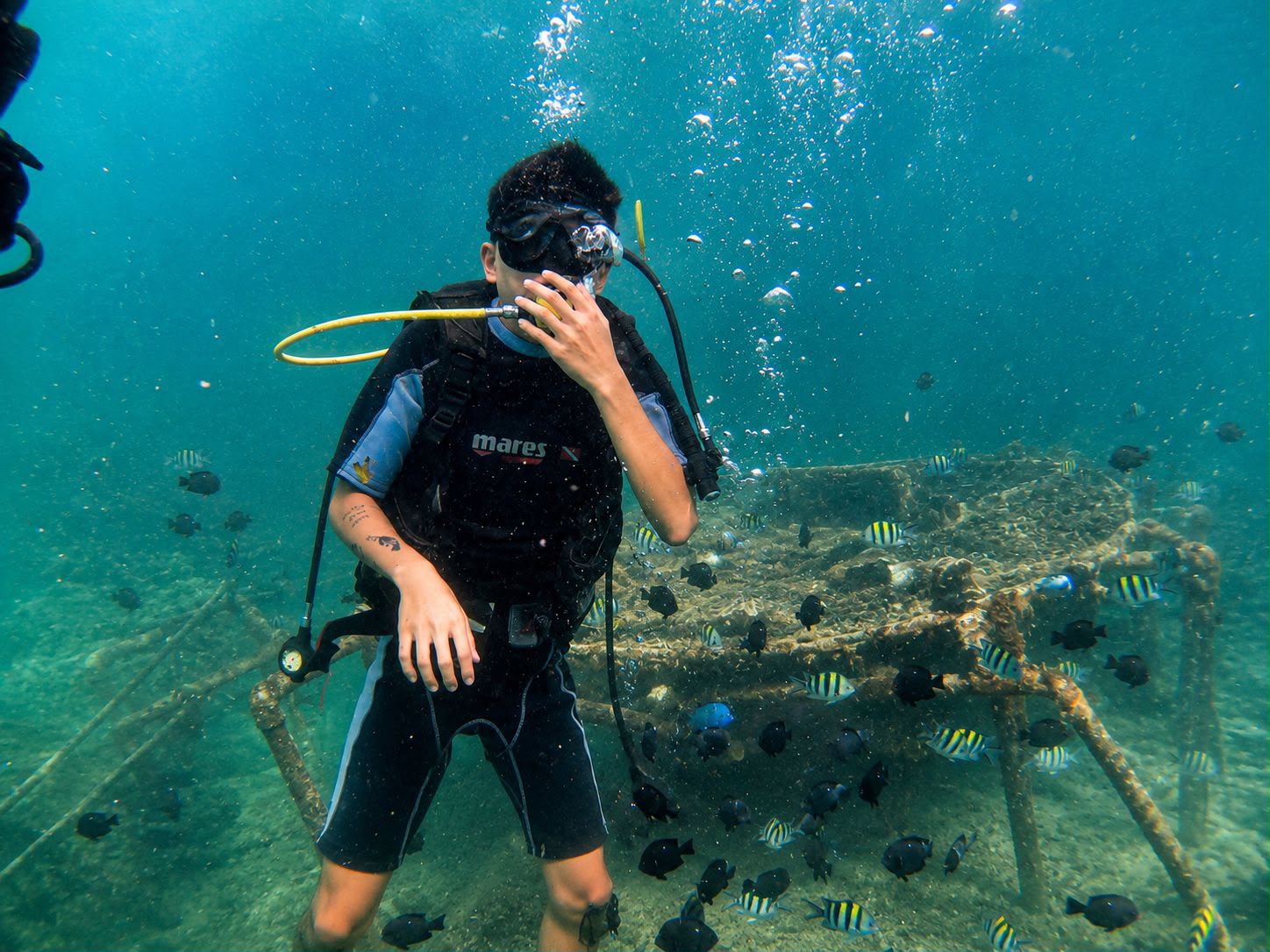 Air laut jernih dengan karang terlihat dari permukaan