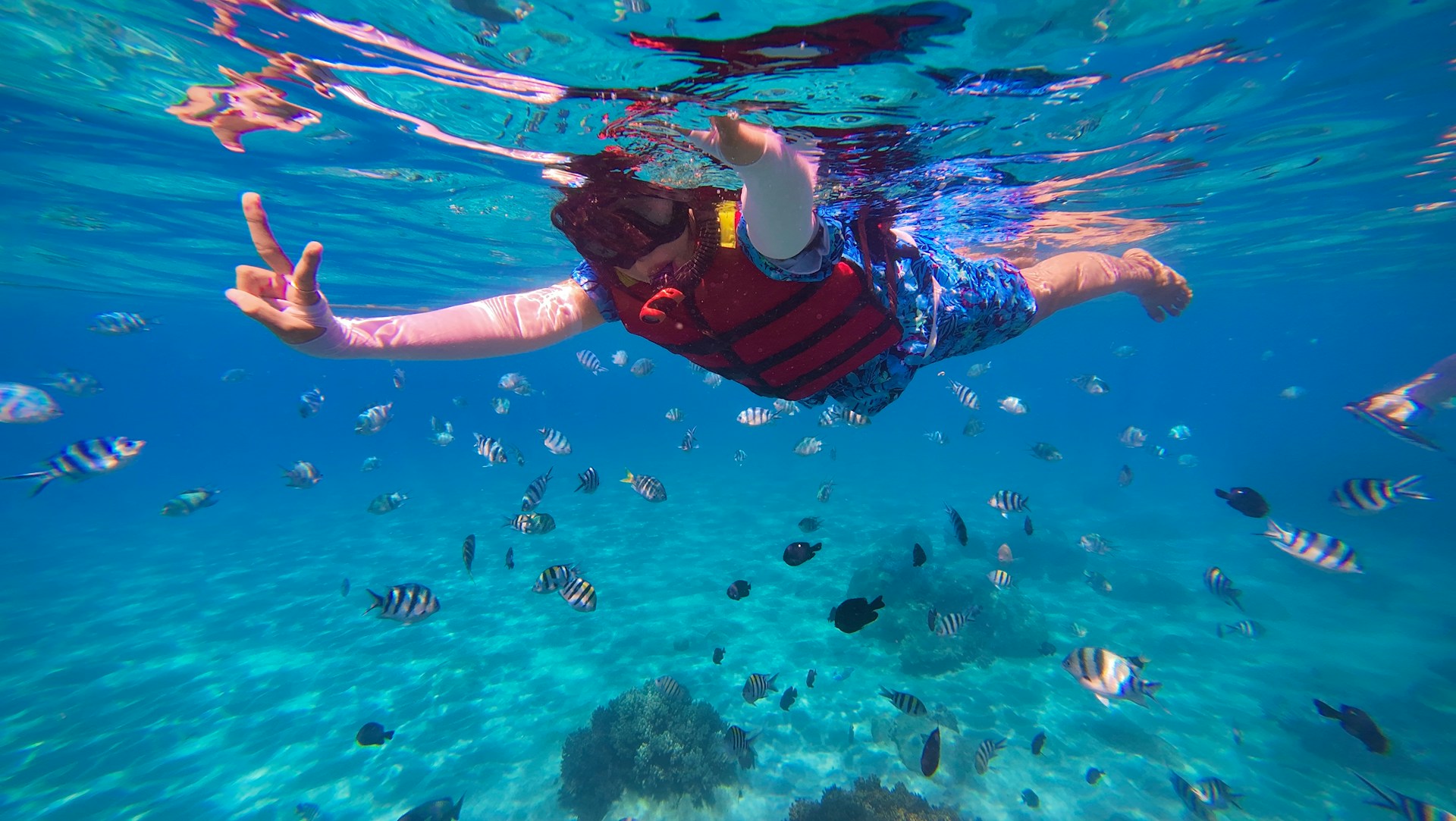 Snorkeling dengan Manta Ray di Nusa Penida