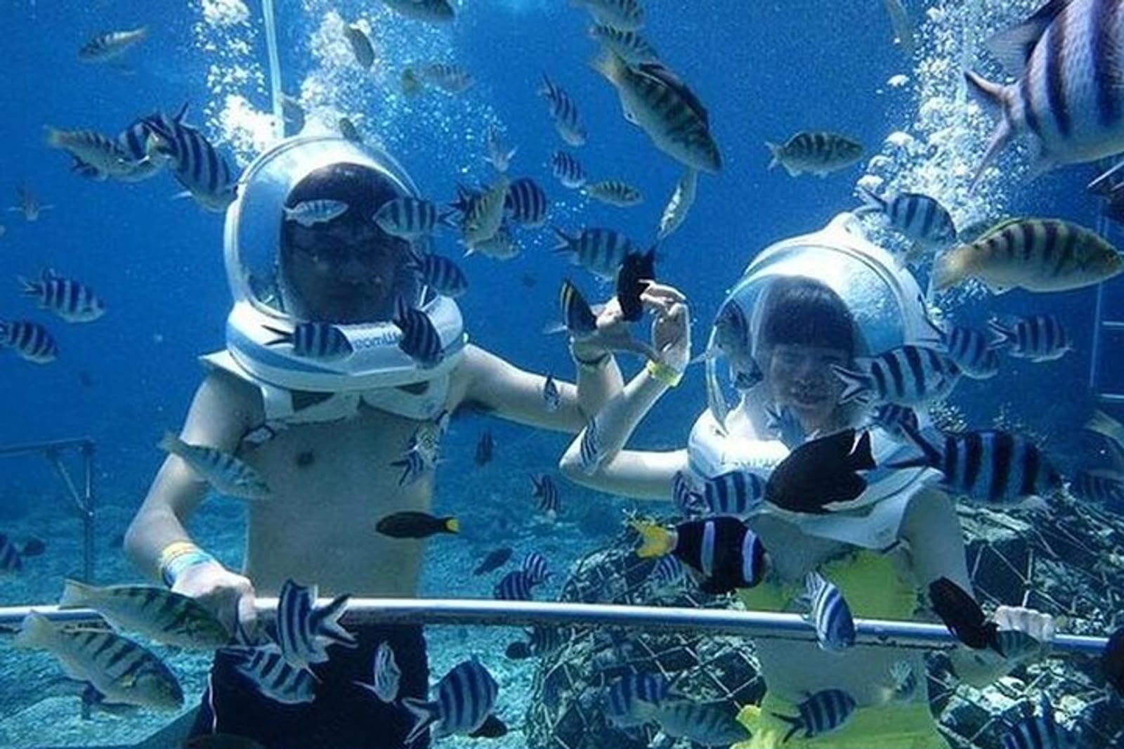 Ocean Walker - berjalan di dasar laut Bali
