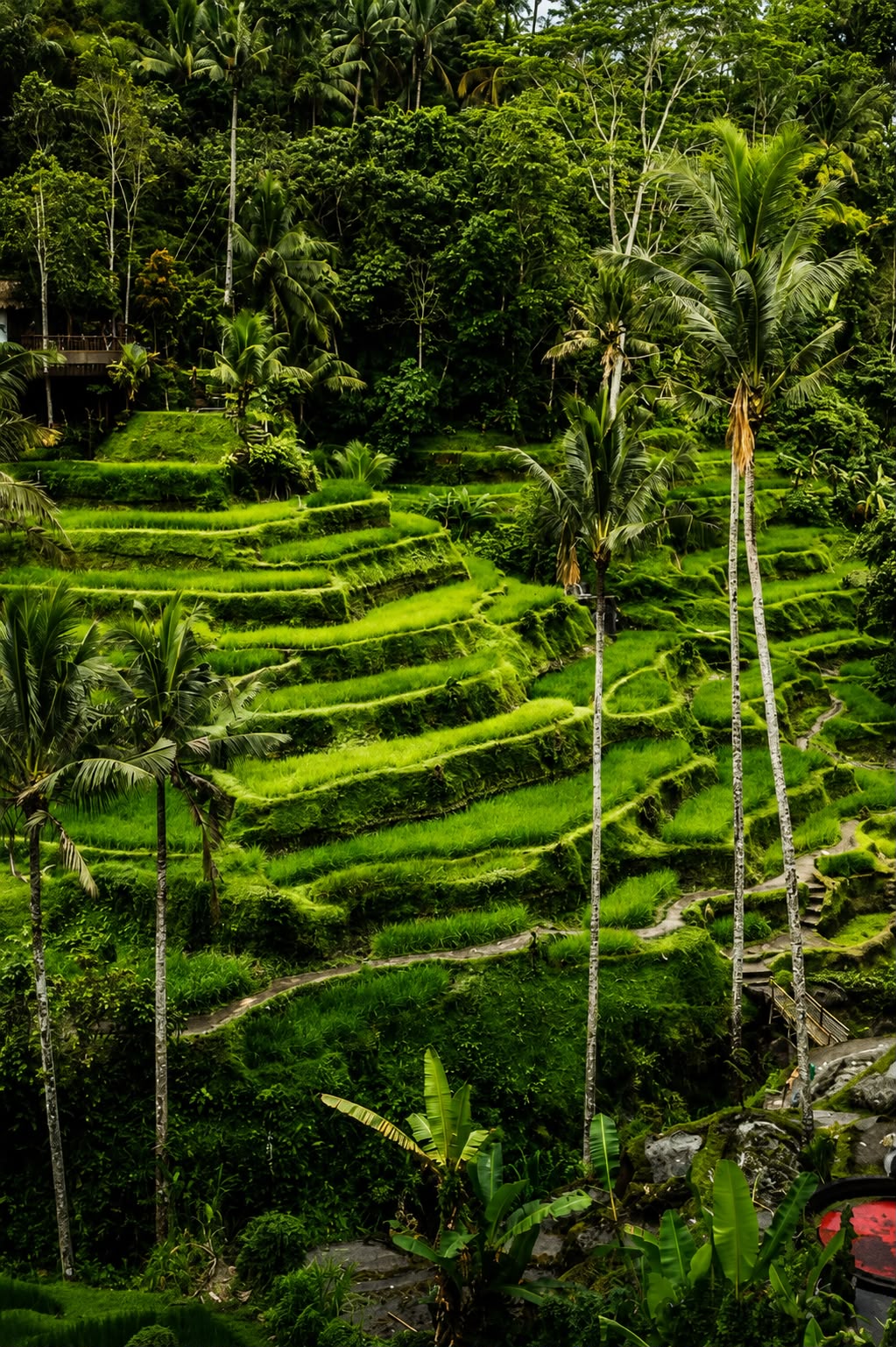 Pura Ulun Danu Beratan di Bali Utara