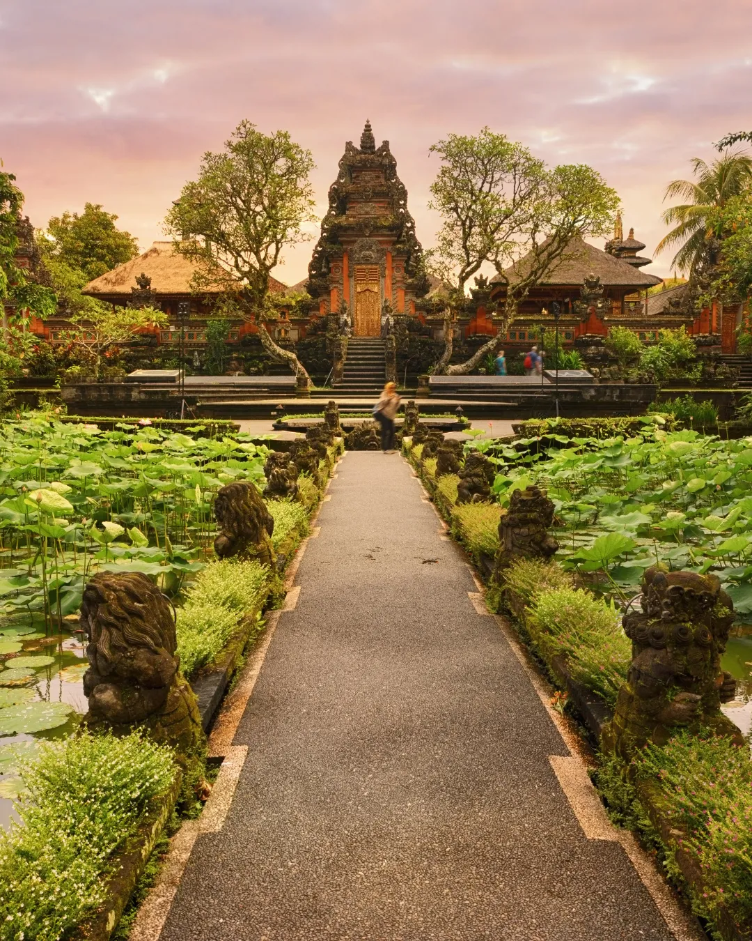 Tegallalang rice terraces in Ubud, Bali
