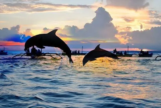 Calm tropical shoreline used for a Lovina dolphin morning