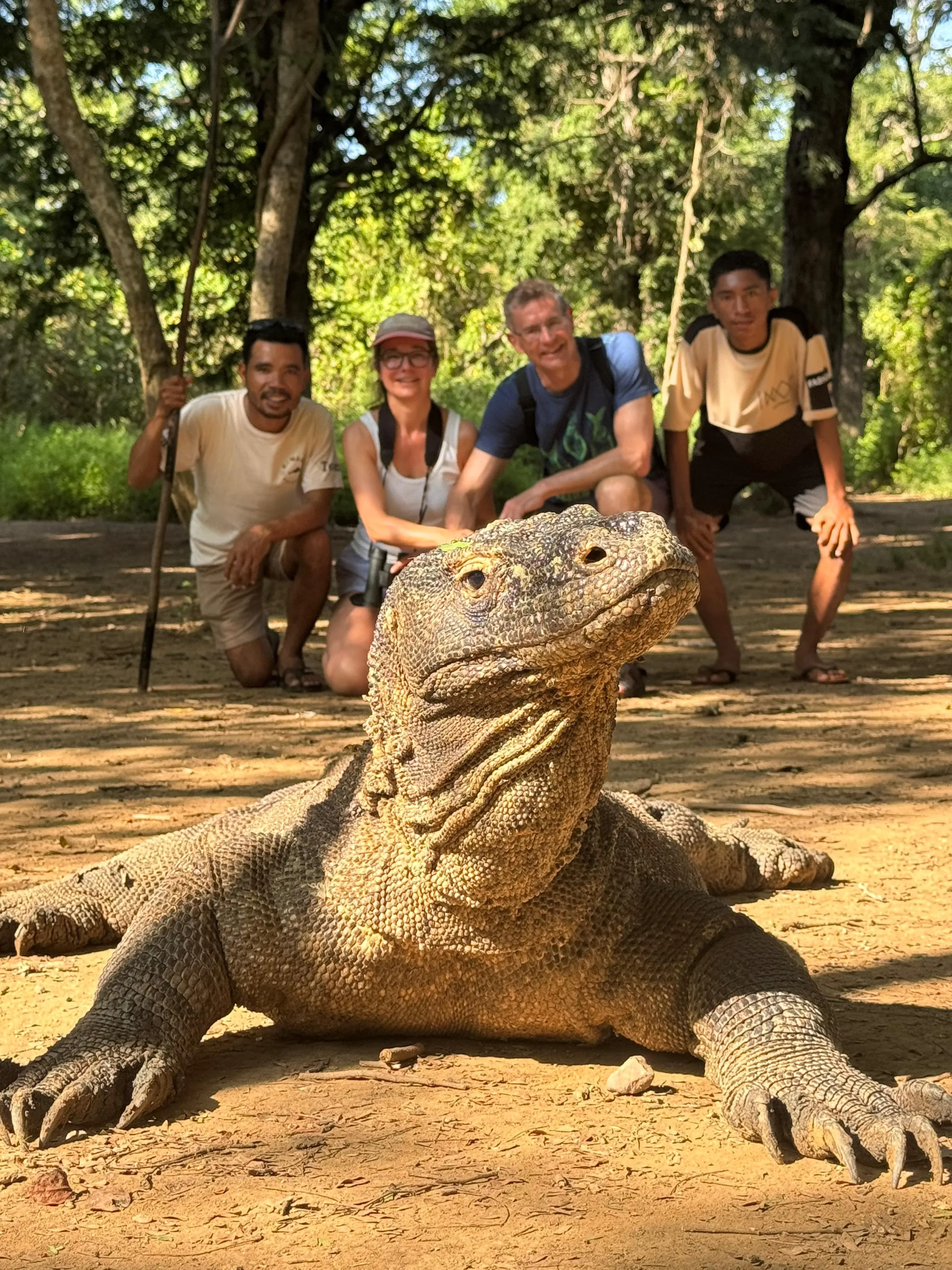 Komodo dragon