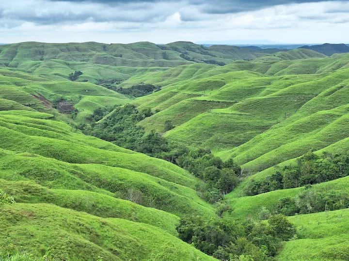 Open savanna hills in East Sumba