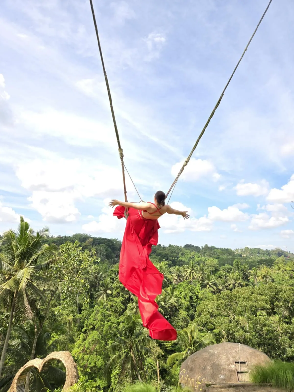 Jungle Swing