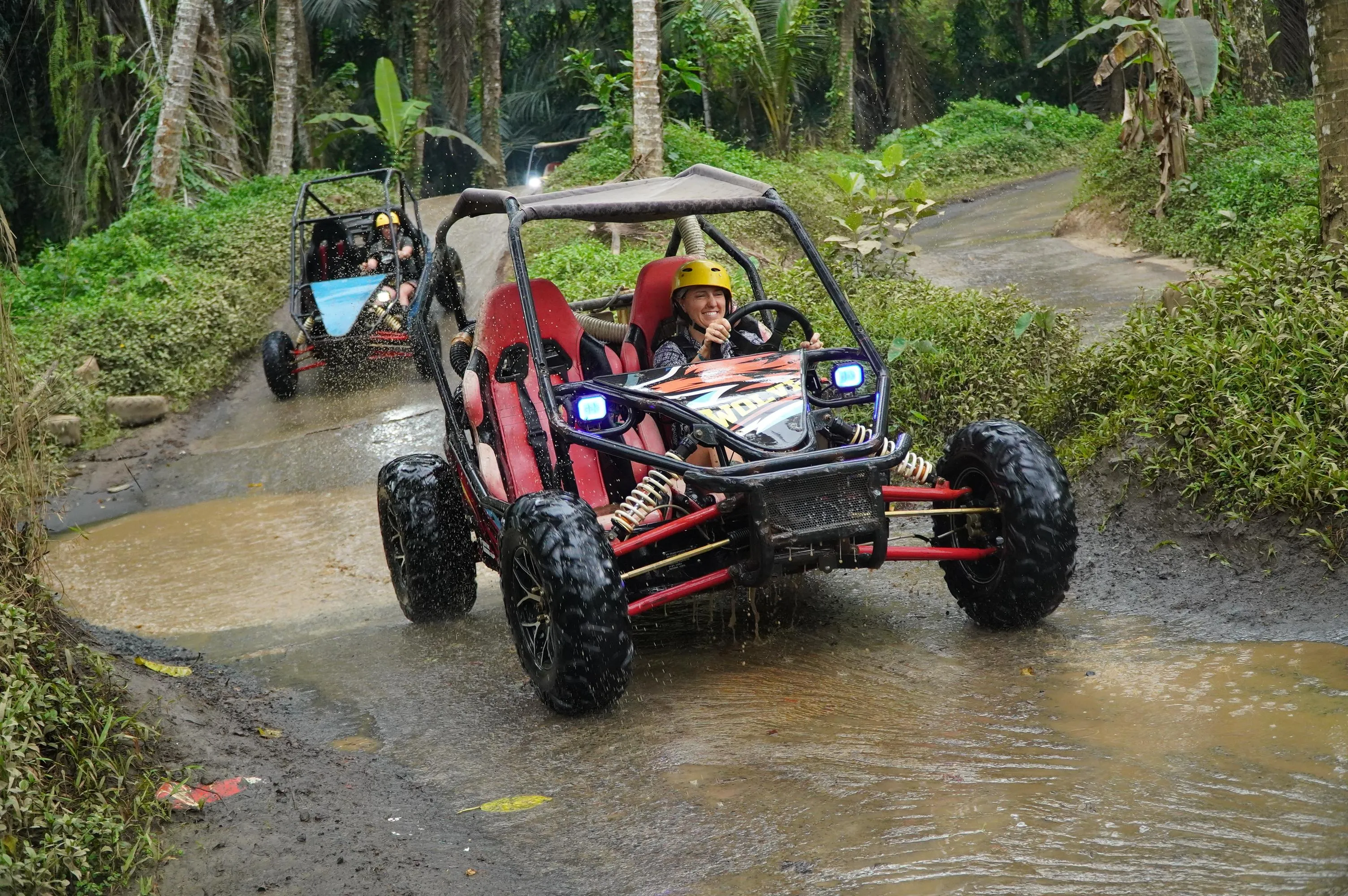 UTV Buggy
