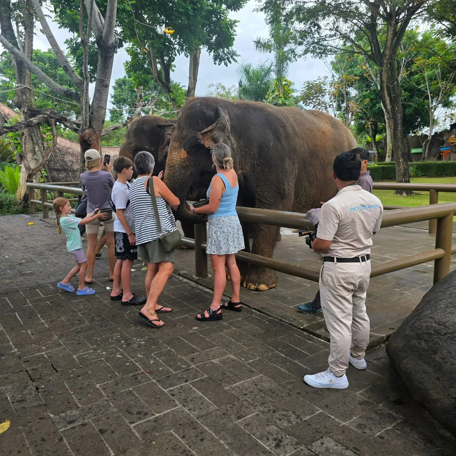Bali