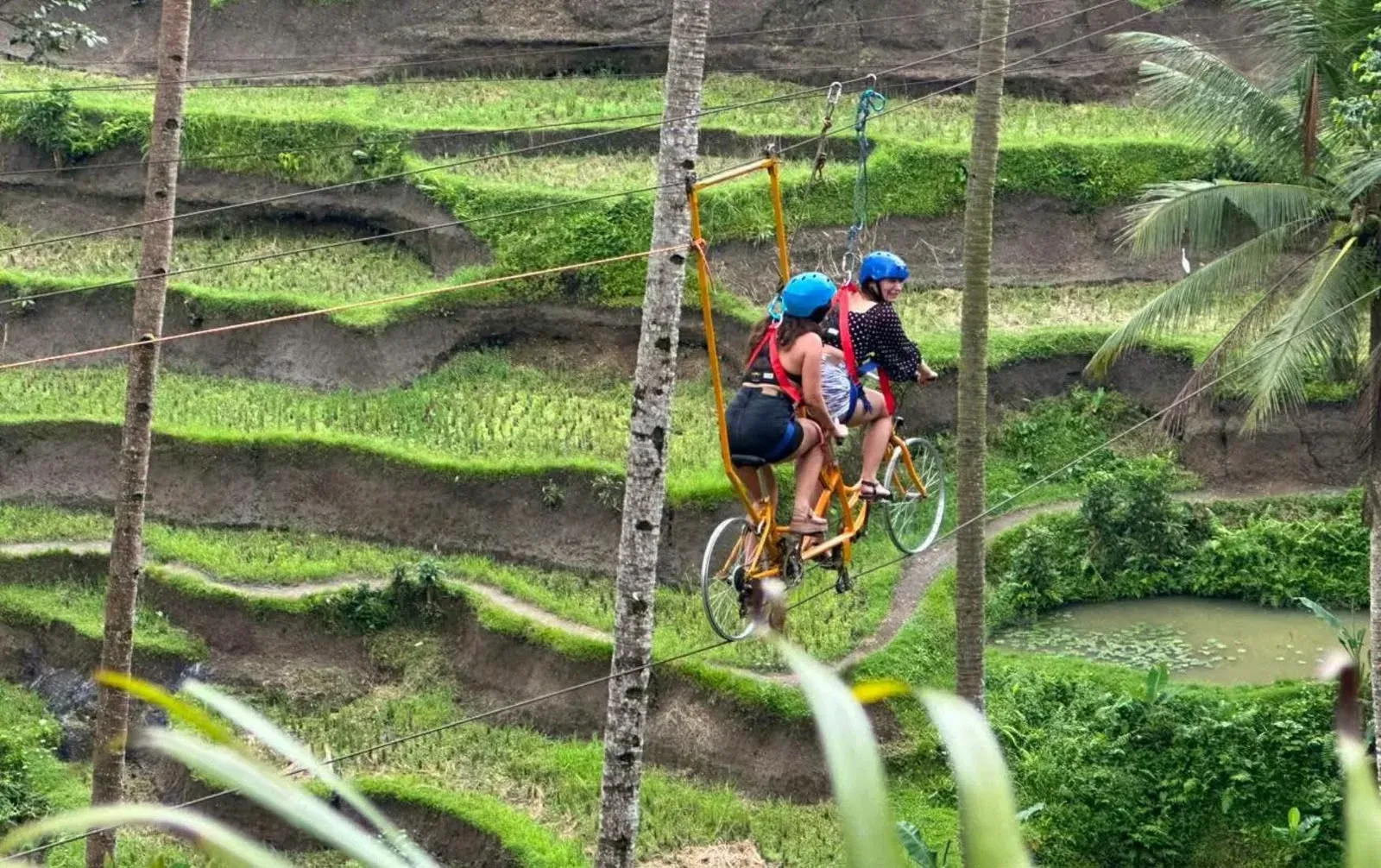 Sky bike over Bali rice terraces