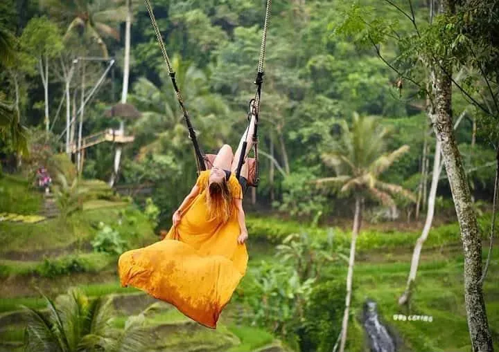 Bali swing over the jungle canopy