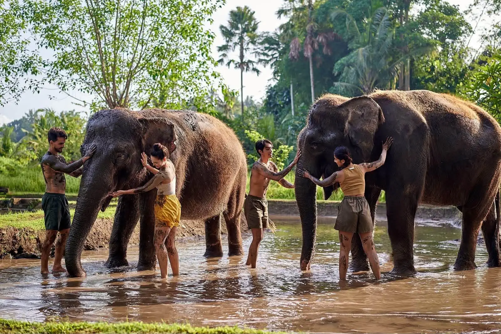 Outdoor nature day in Bali
