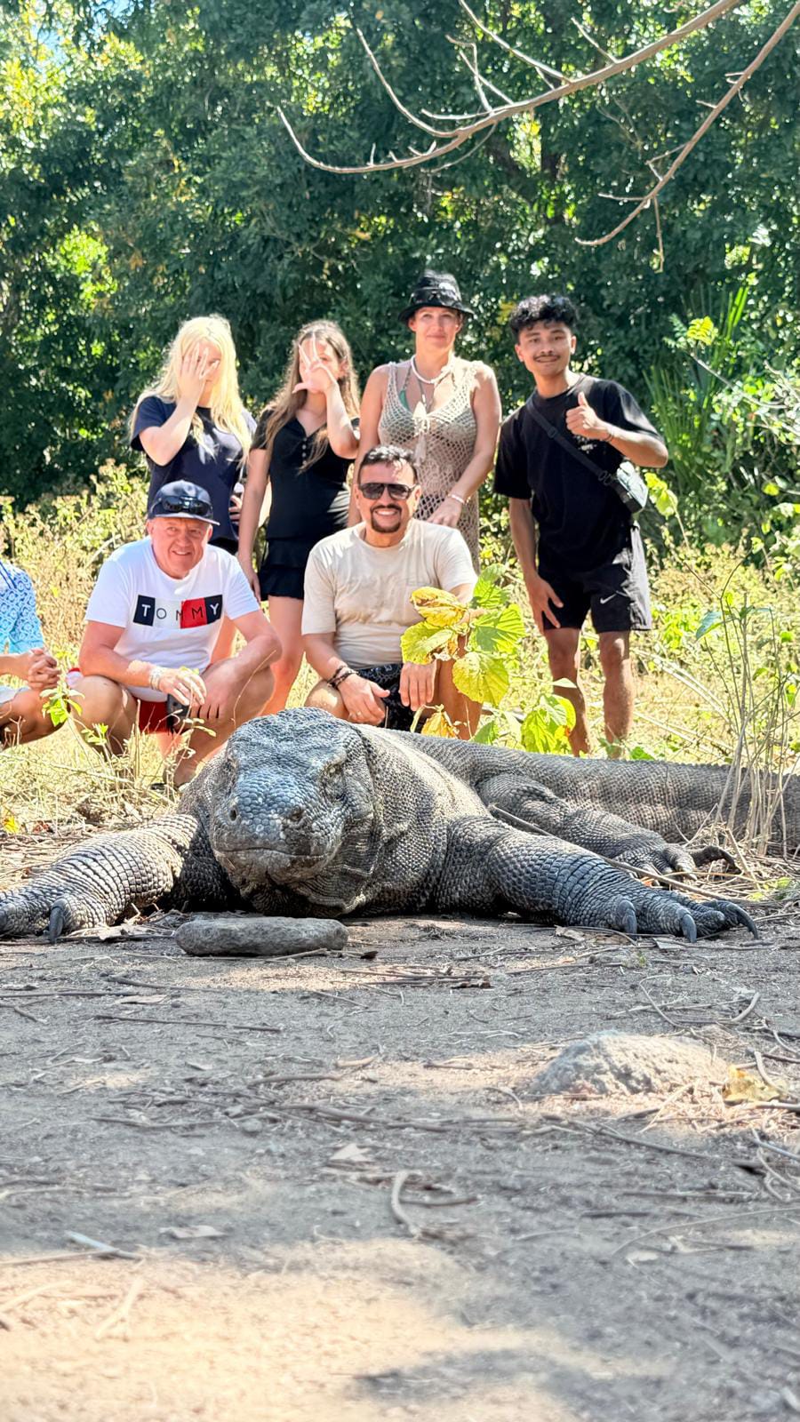 Komodo dragon resting in the wild