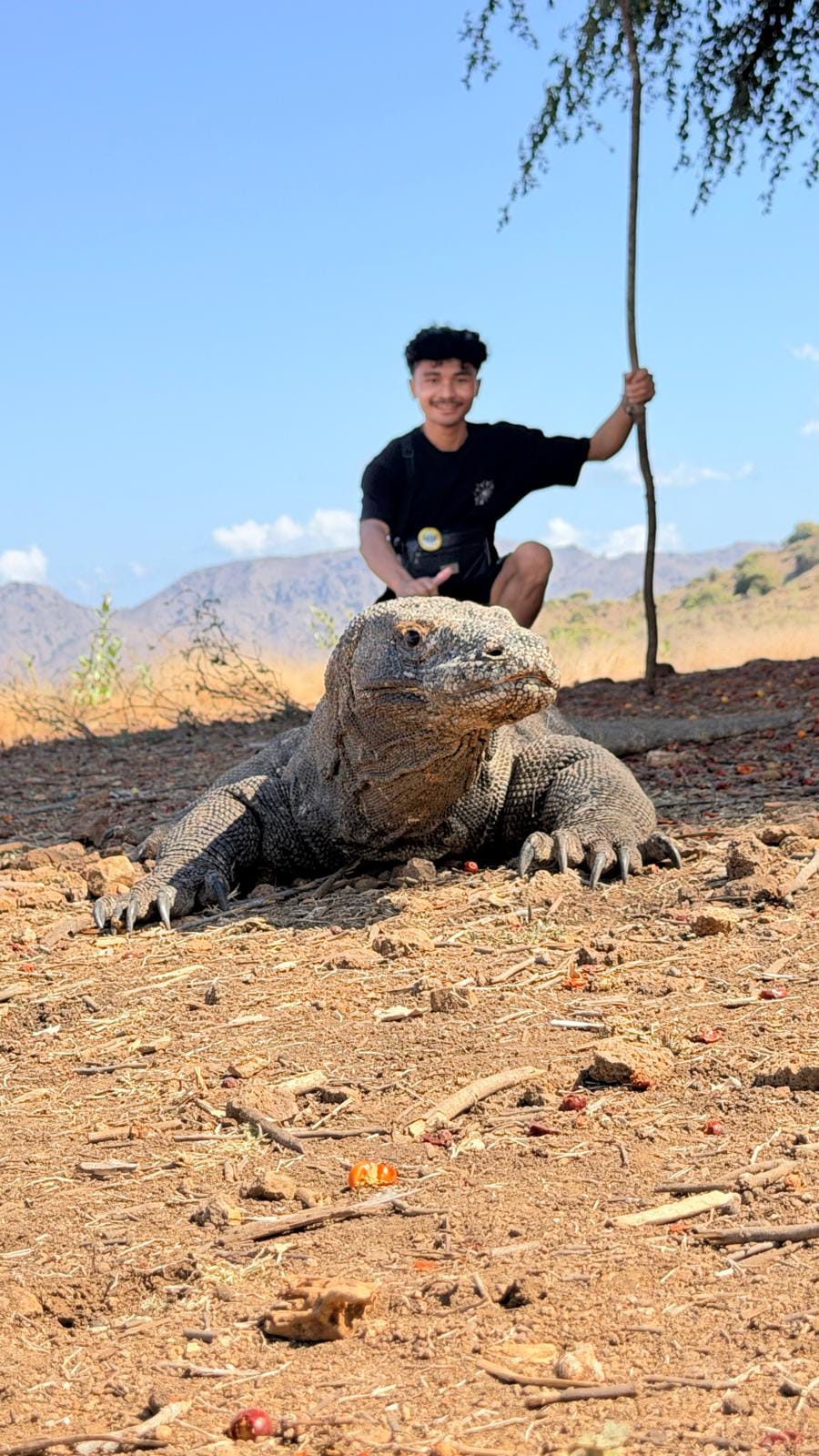 Padar Island's dramatic hills and turquoise bays