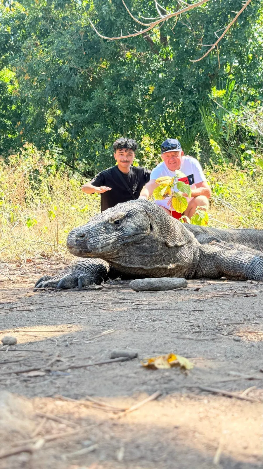 Komodo Landscape