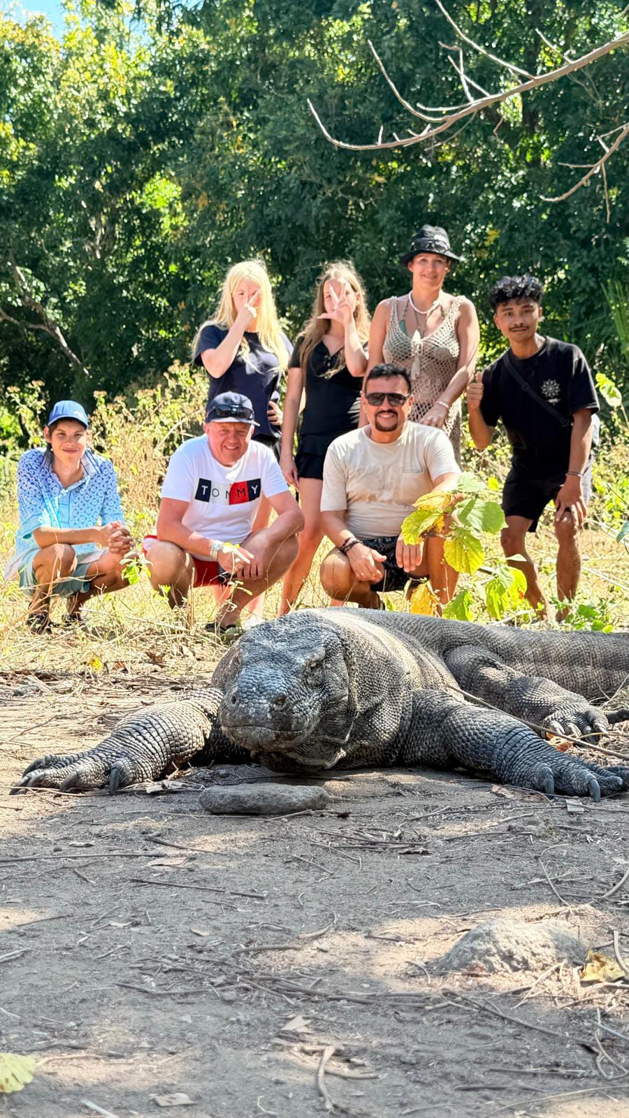 Komodo Landscape