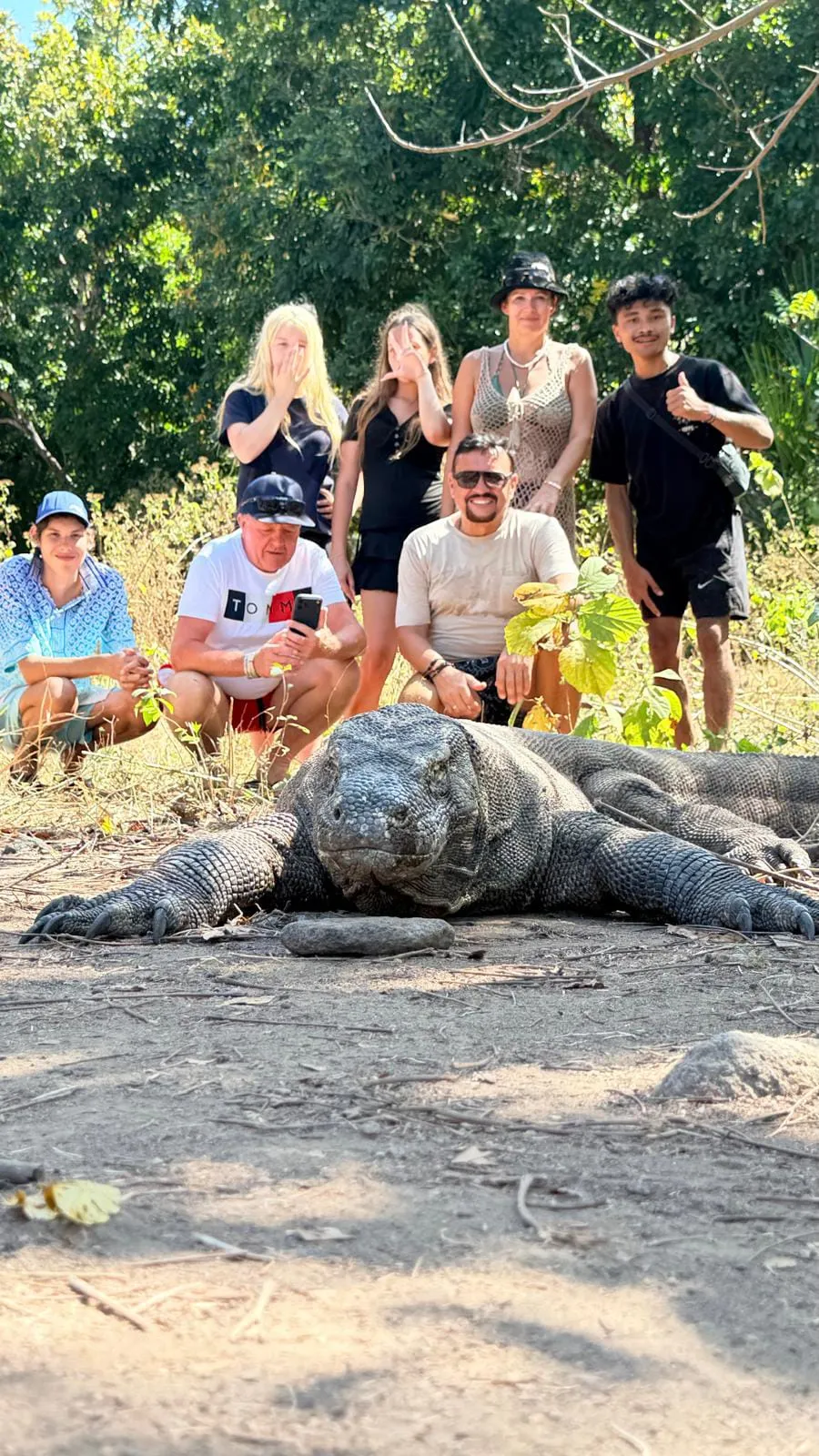 Komodo Landscape