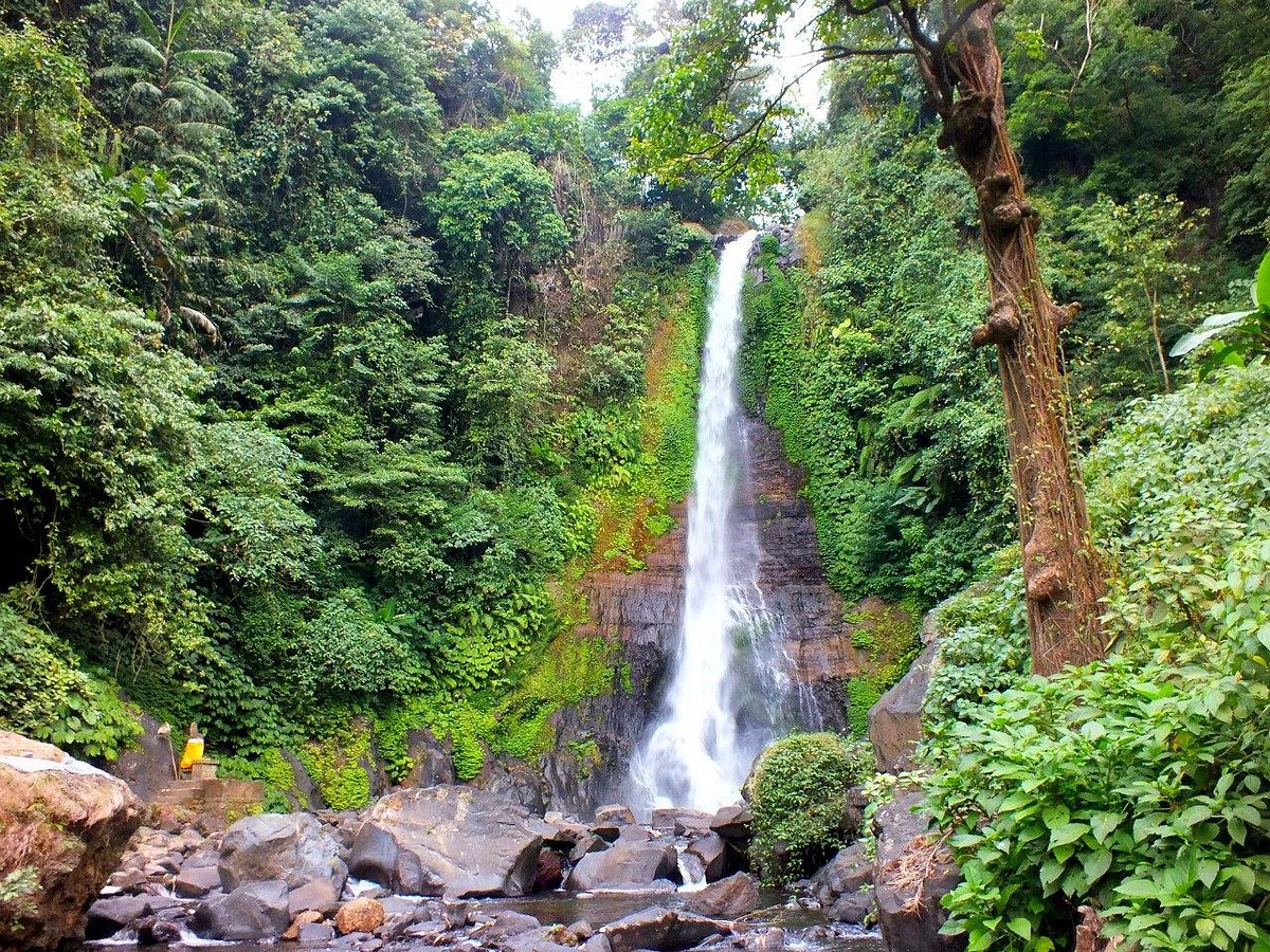 Gitgit Waterfall in lush tropical setting