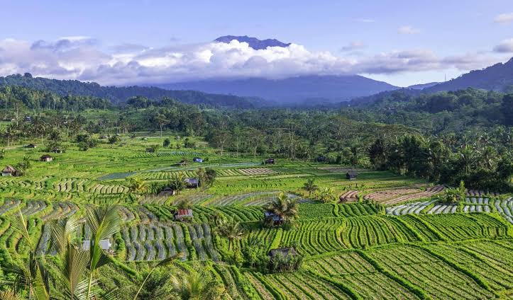 Sidemen Valley rice terraces and mountain views