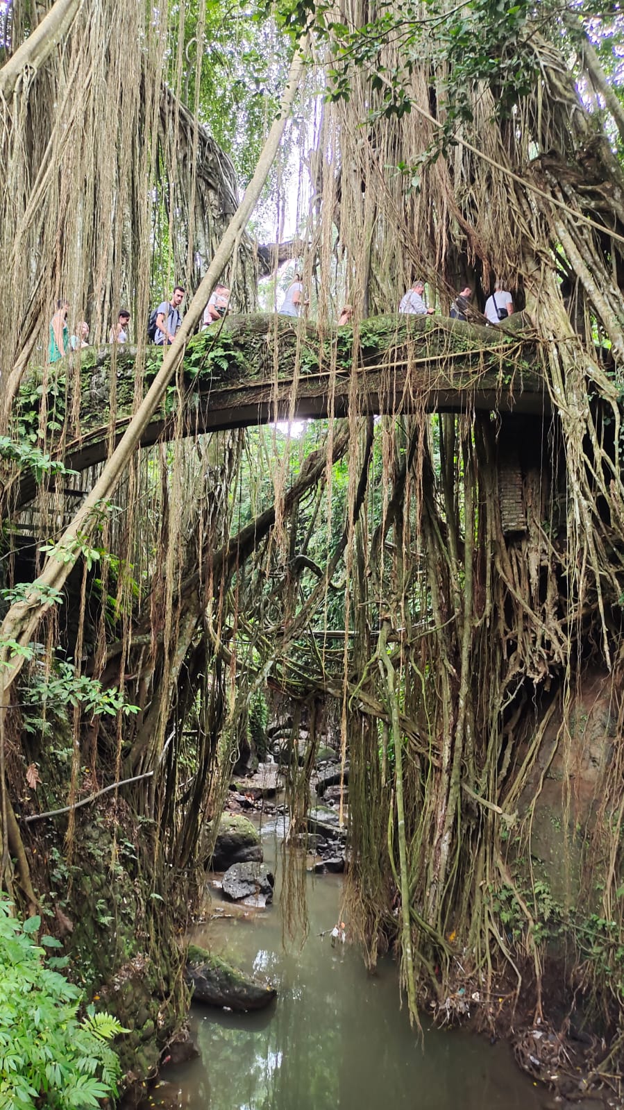 Bali gallery photo 10