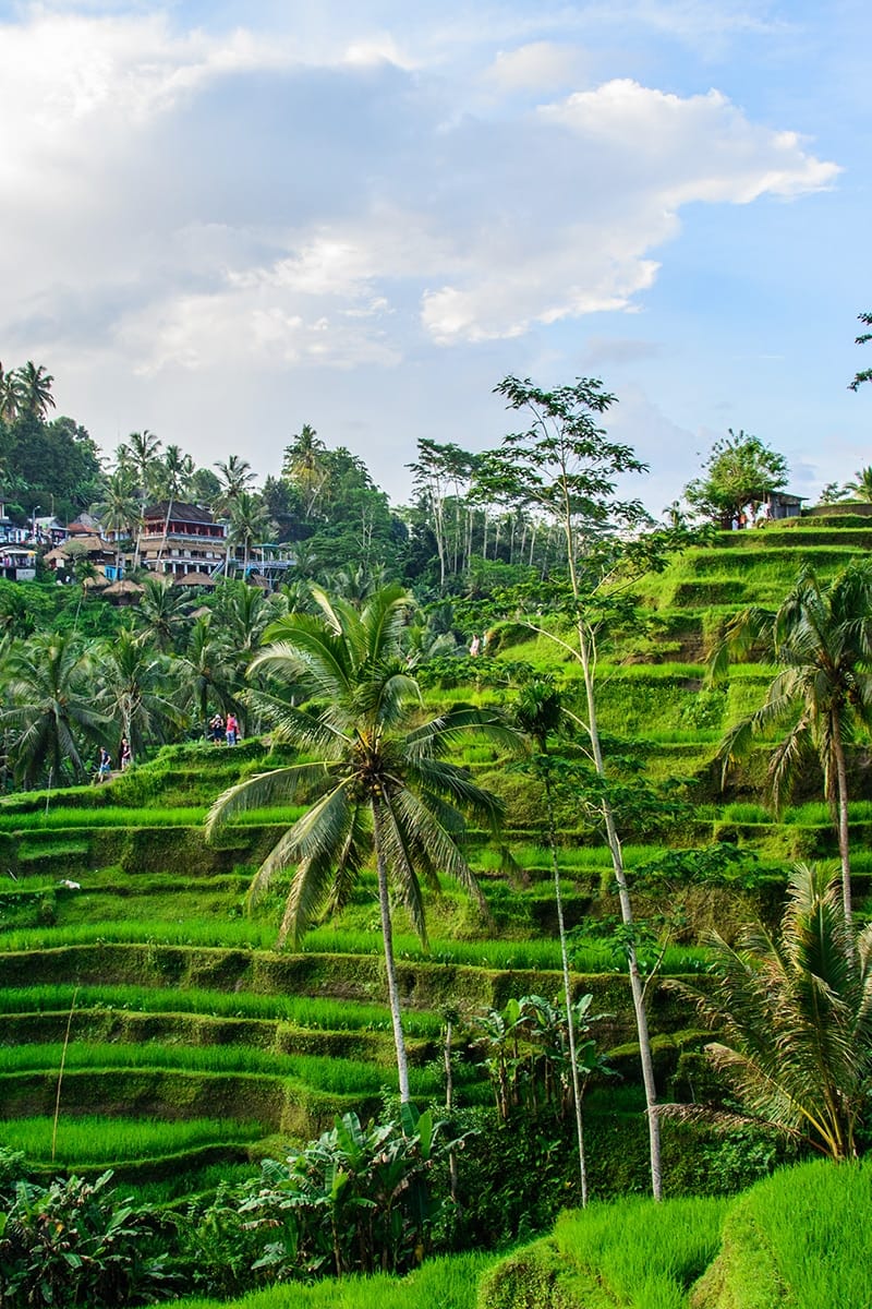 Bali gallery photo 18