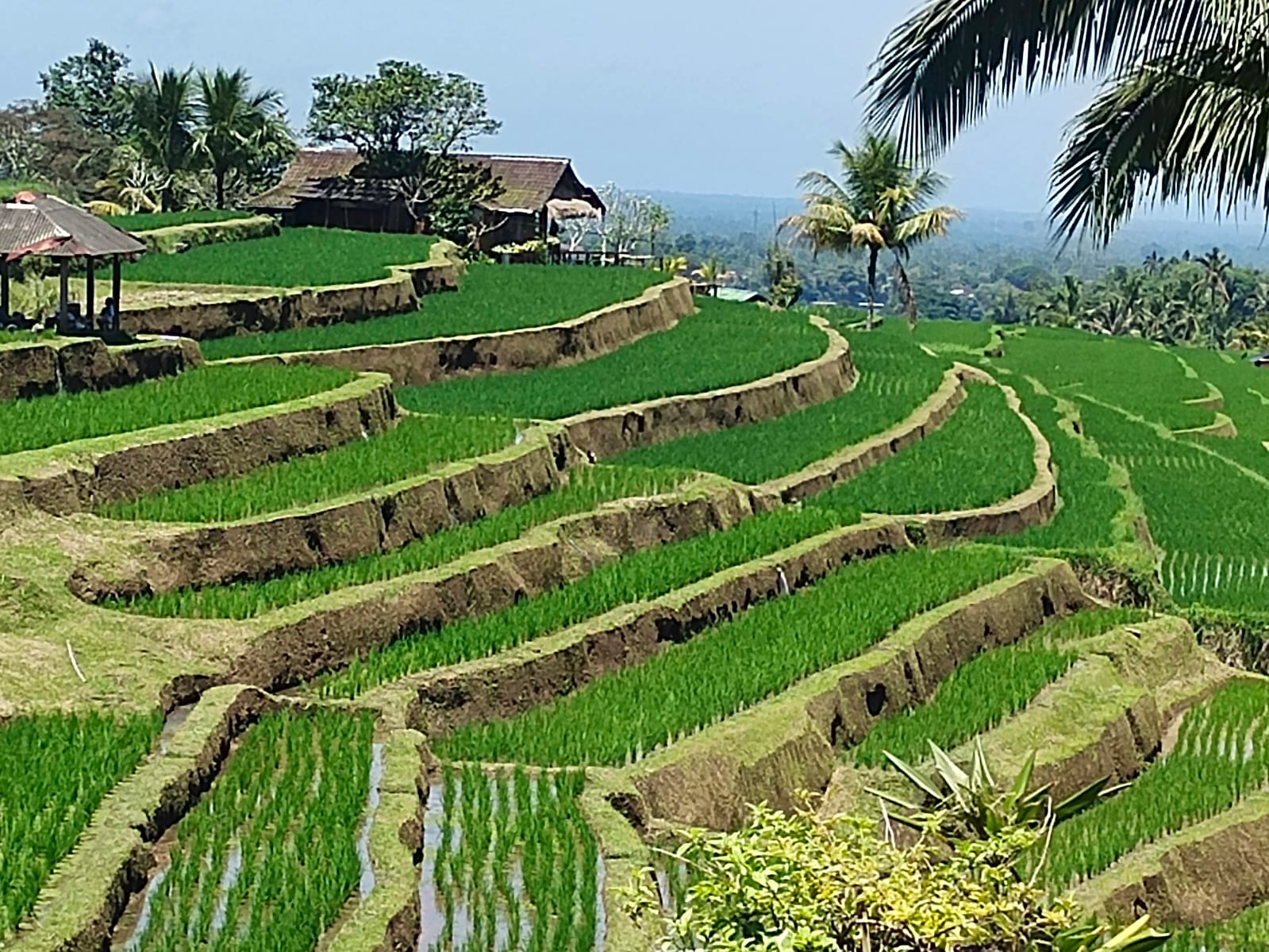 Bali gallery photo 21