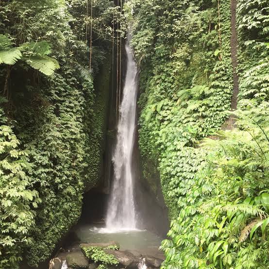 Bali jungle swing experience