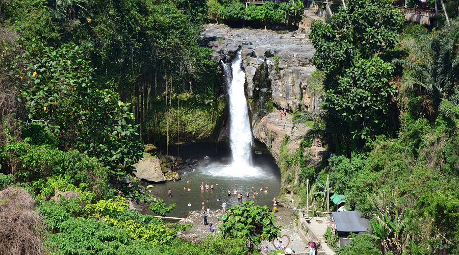 Bali rainforest waterfall