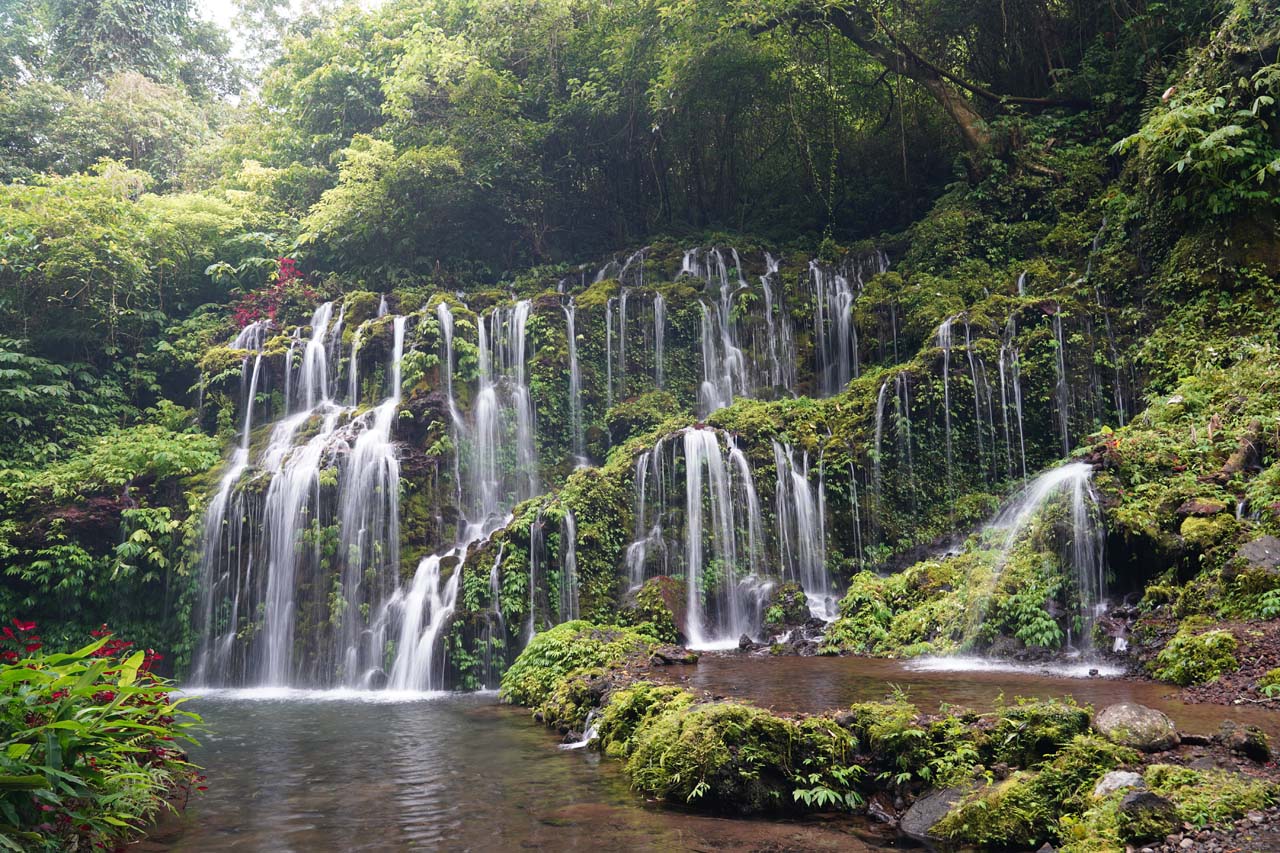 Banyuwana waterfall surrounded by dense tropical vegetation