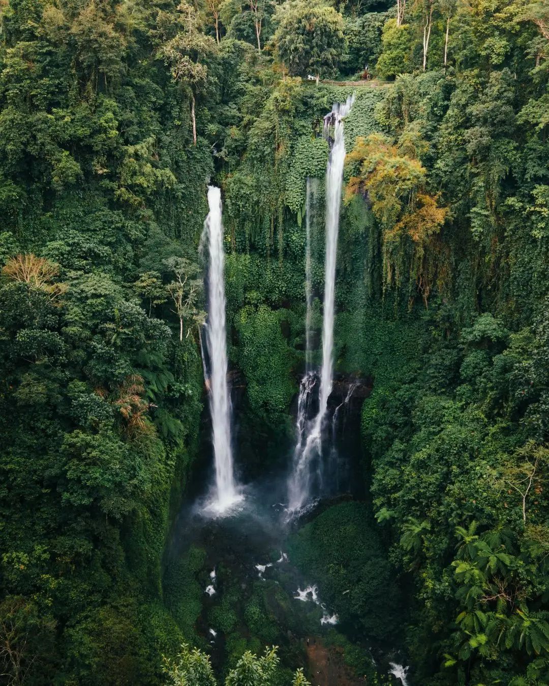 Tall jungle waterfall cascading into a pool at Sekumpul, North Bali