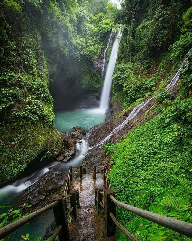 Waterfall pouring into a turquoise natural pool surrounded by jungle