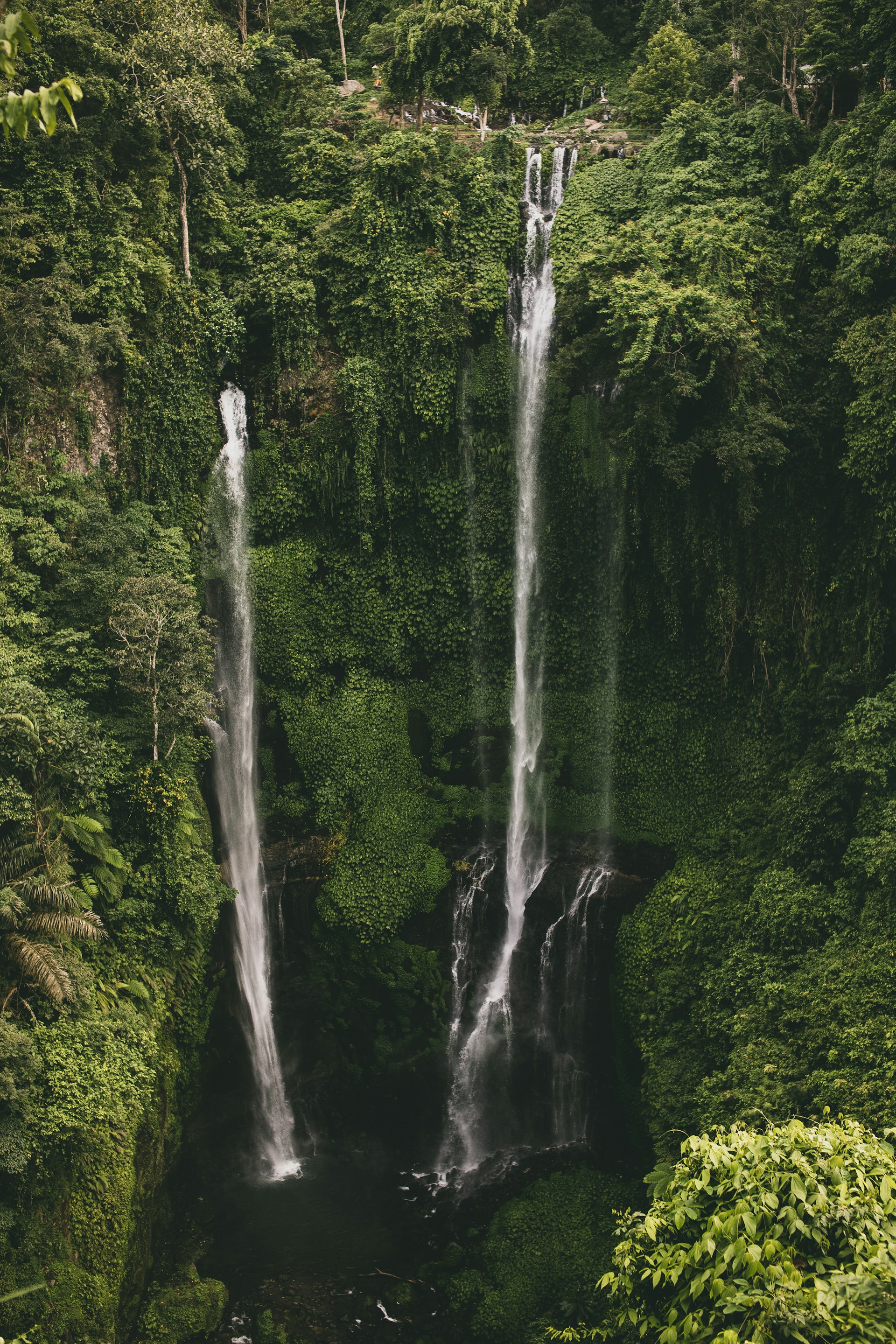 Sekumpul waterfall cascading through the jungle in North Bali