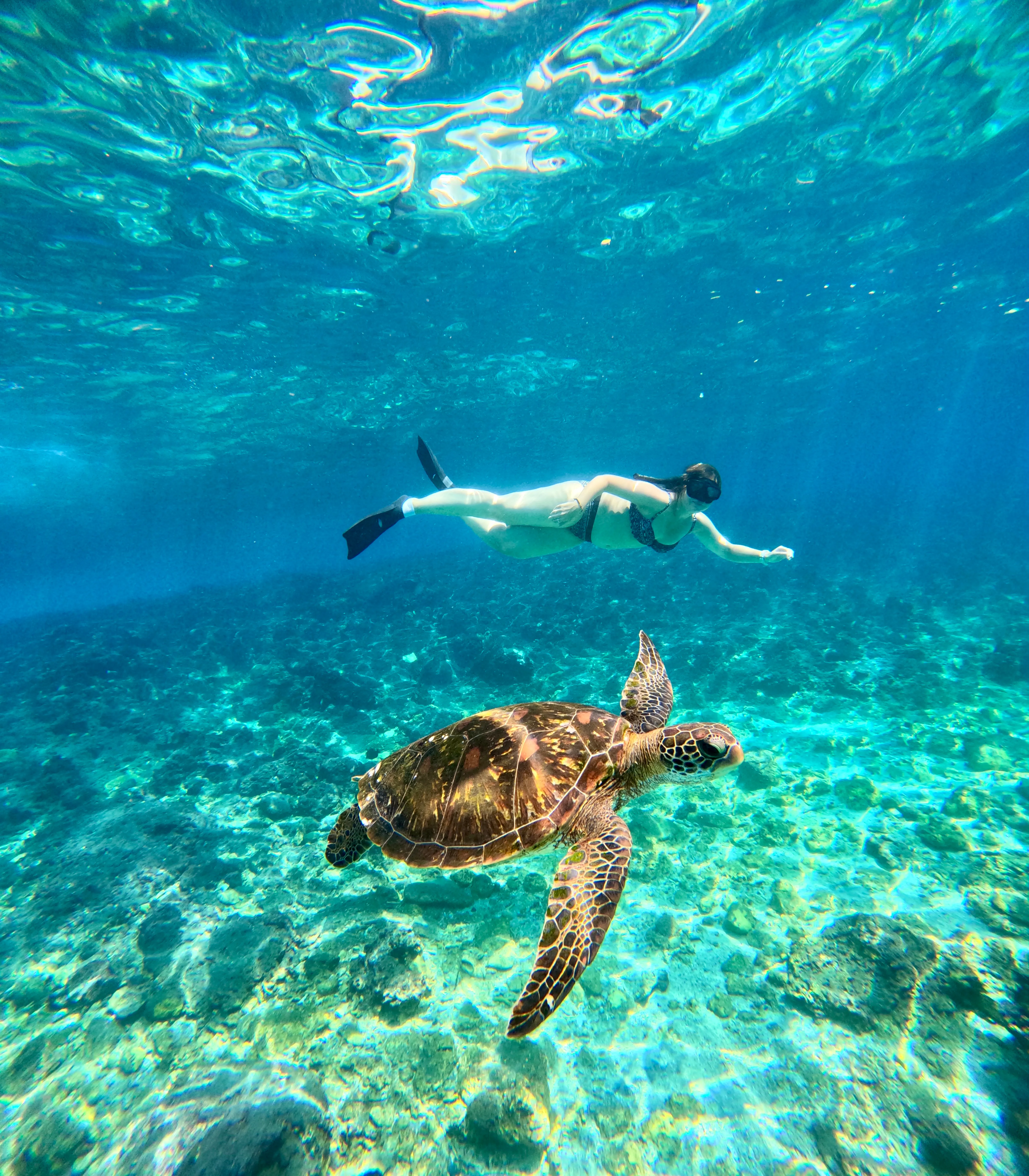 Tropical shoreline
