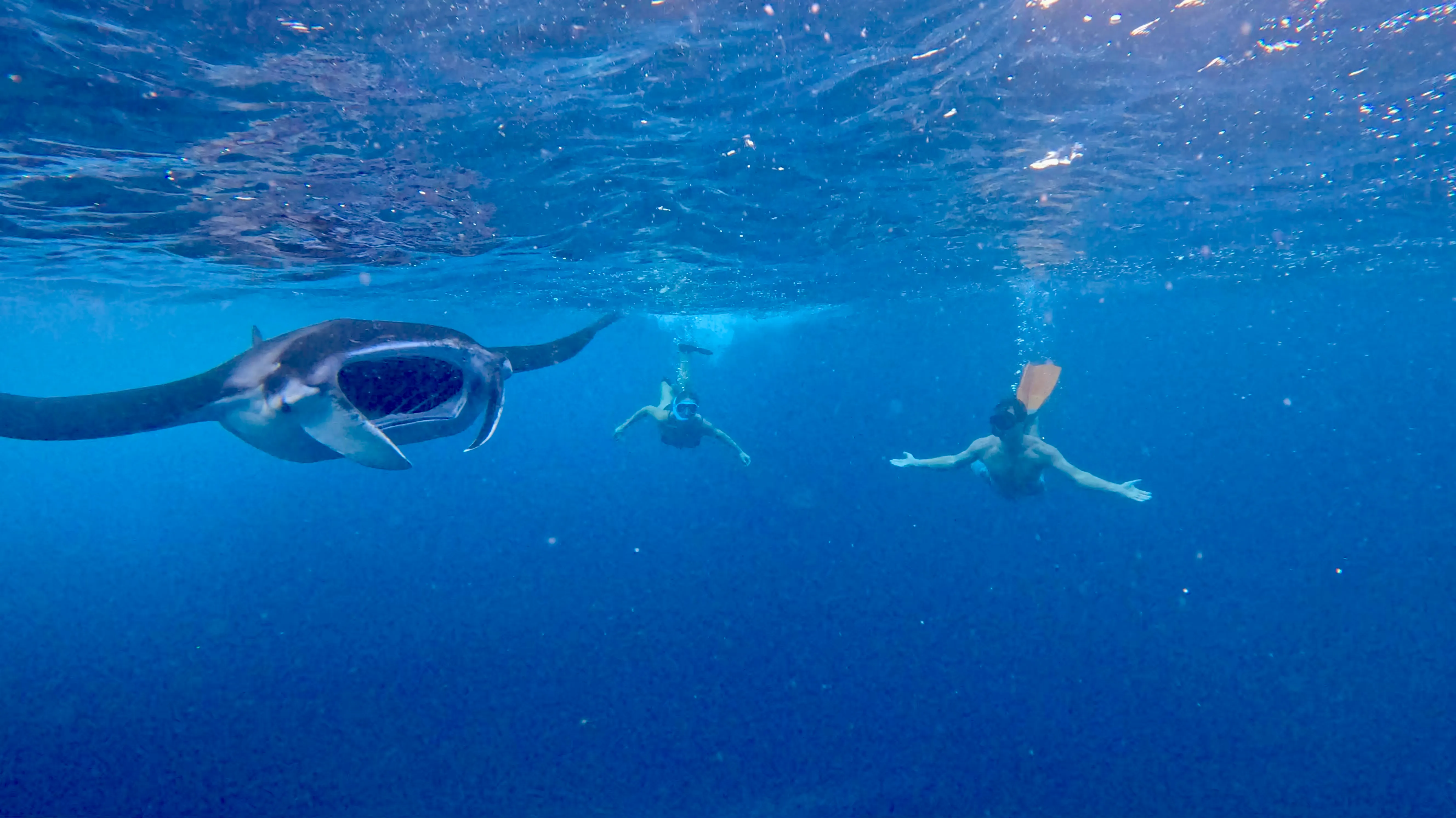 All Ocean Warrior packages