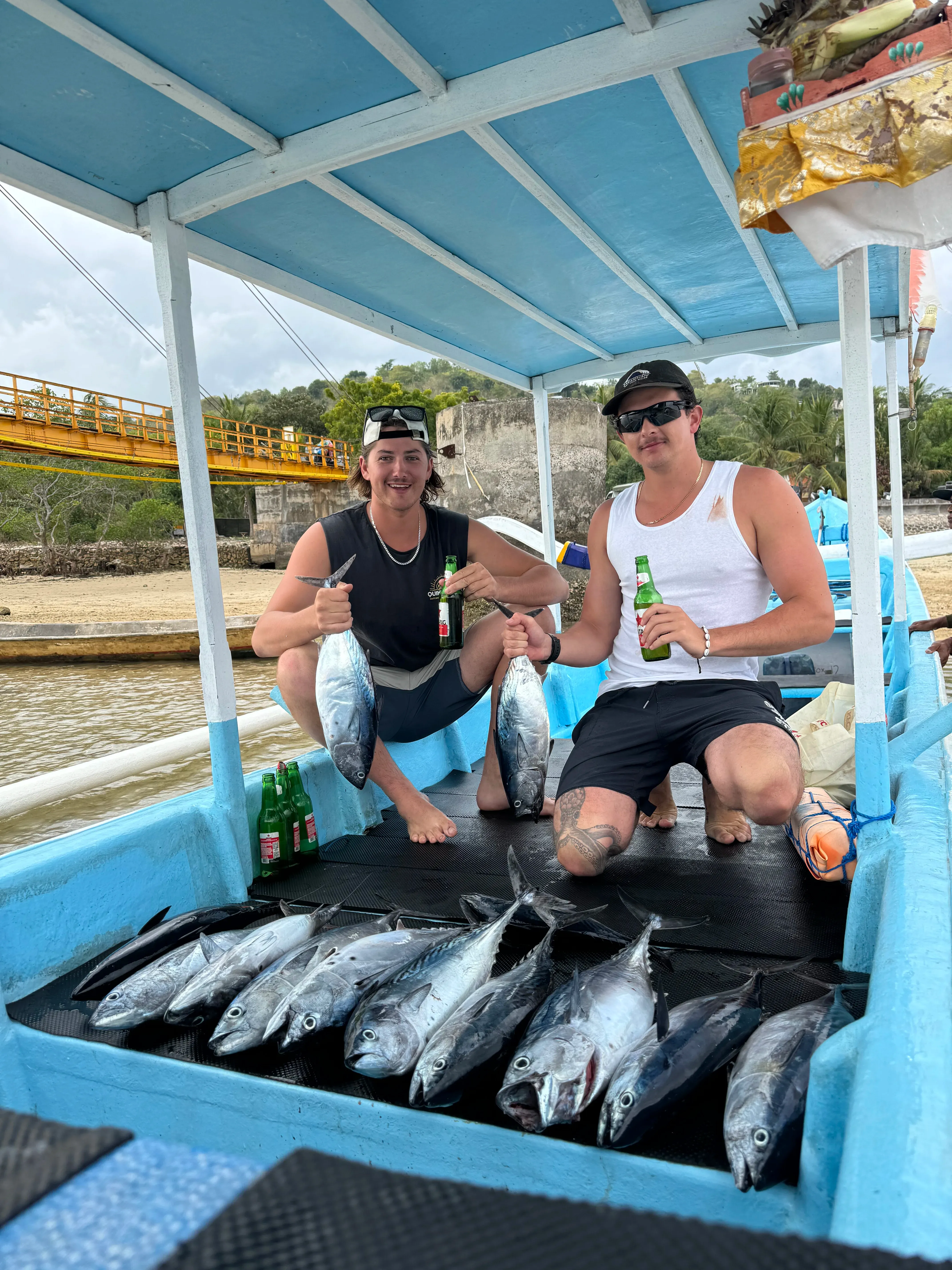 Underwater light through the sea