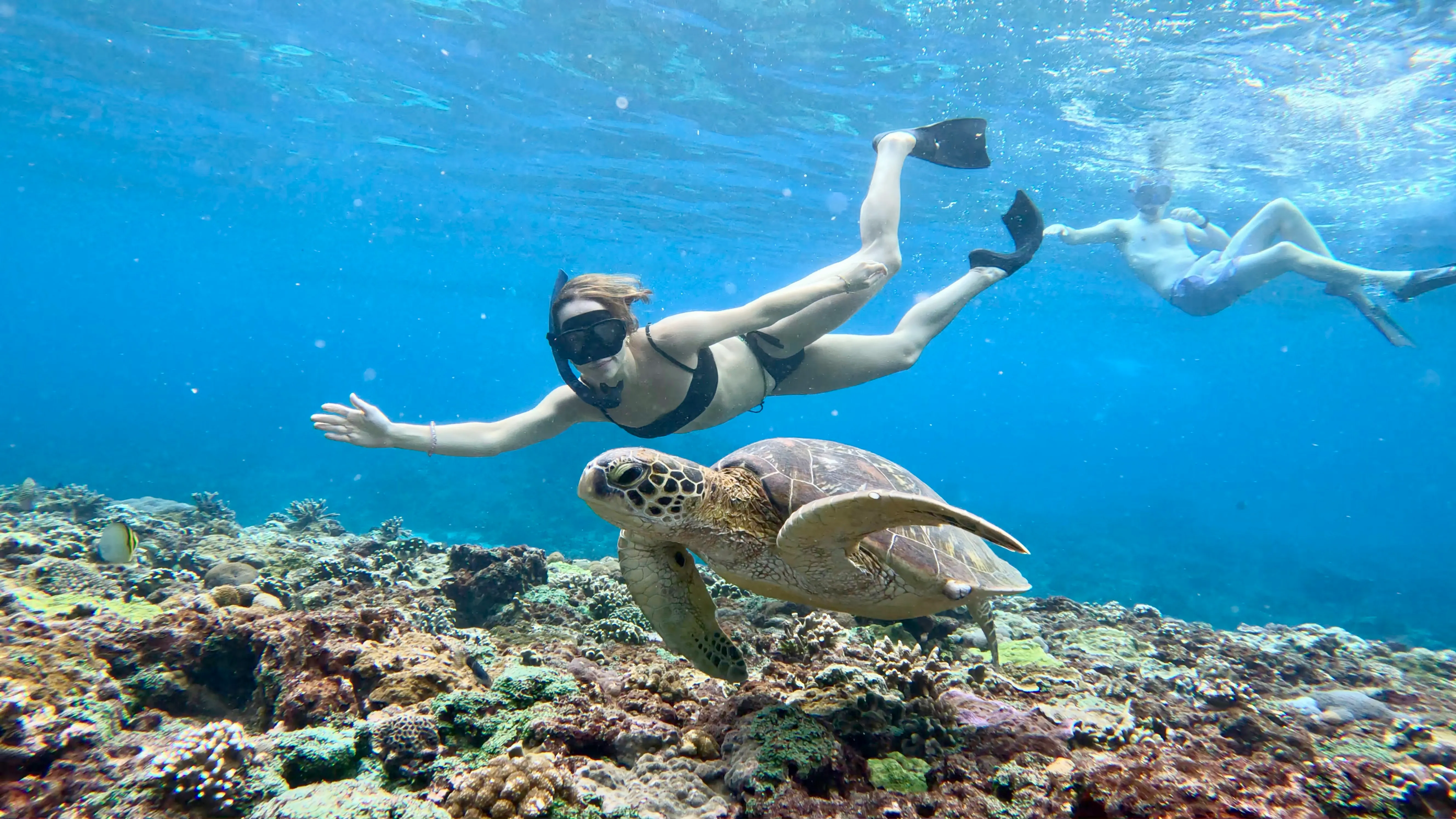 Snorkeler over a coral reef