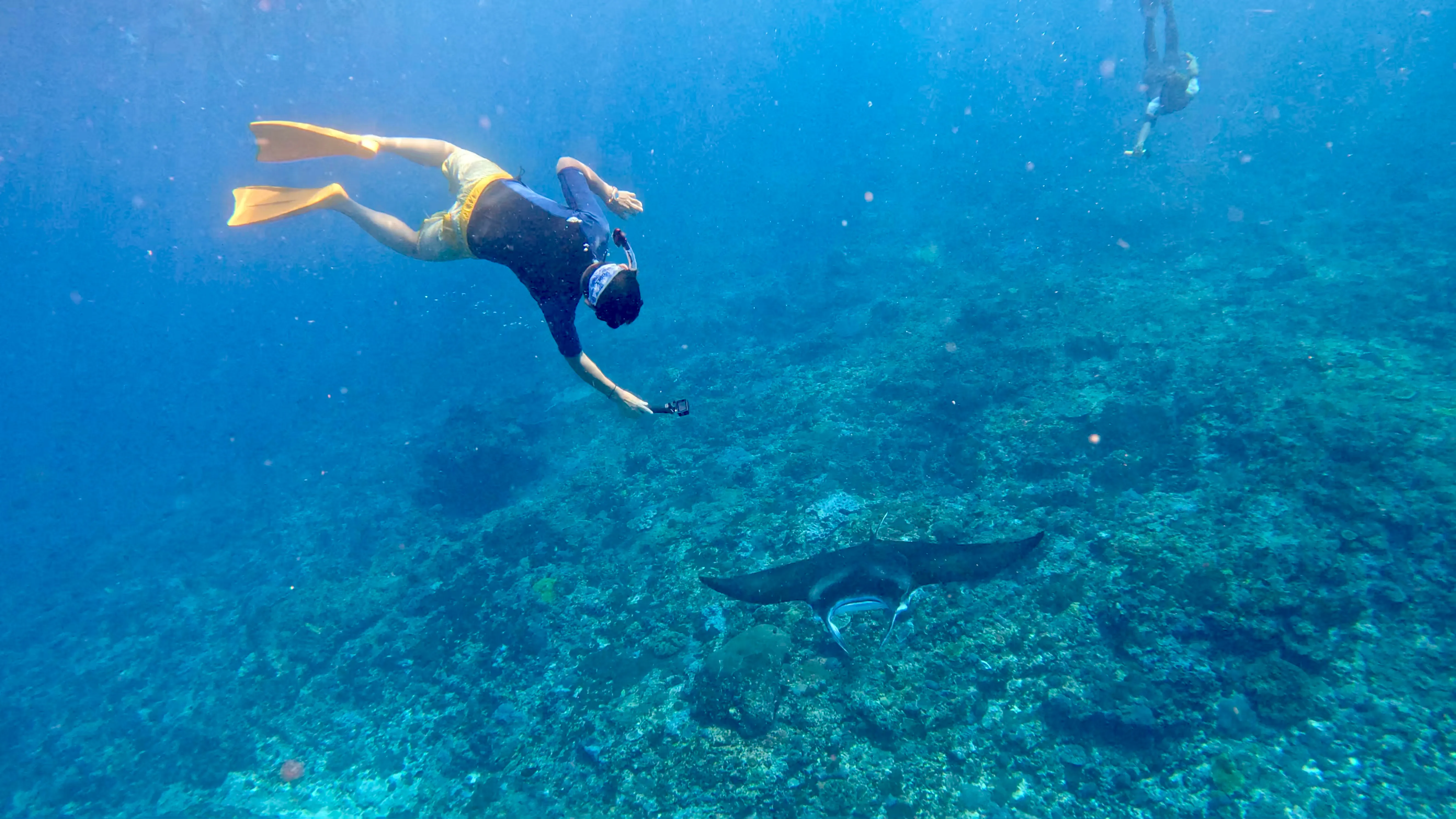 Snorkeler over a coral reef