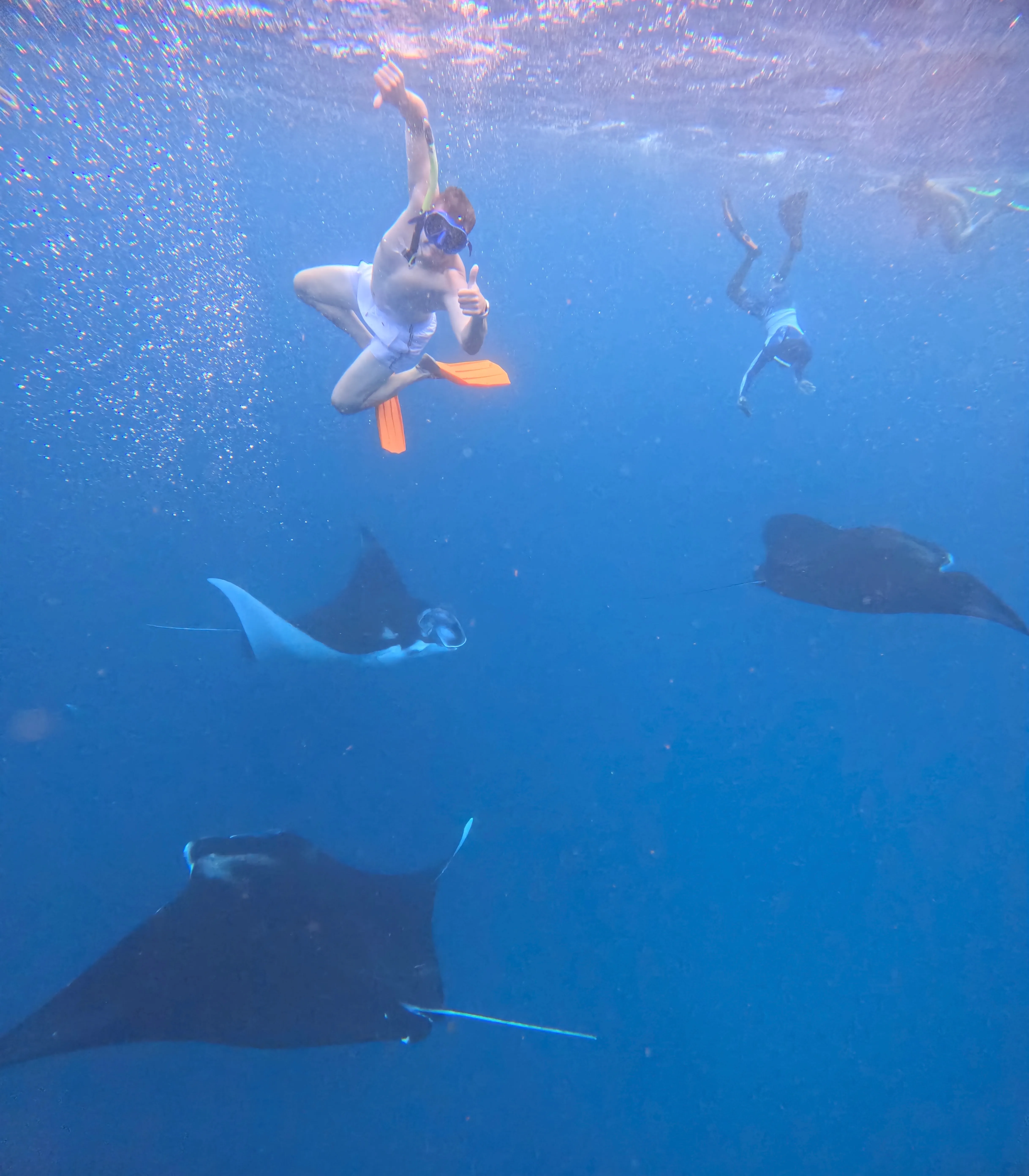 Snorkeling on a private trip