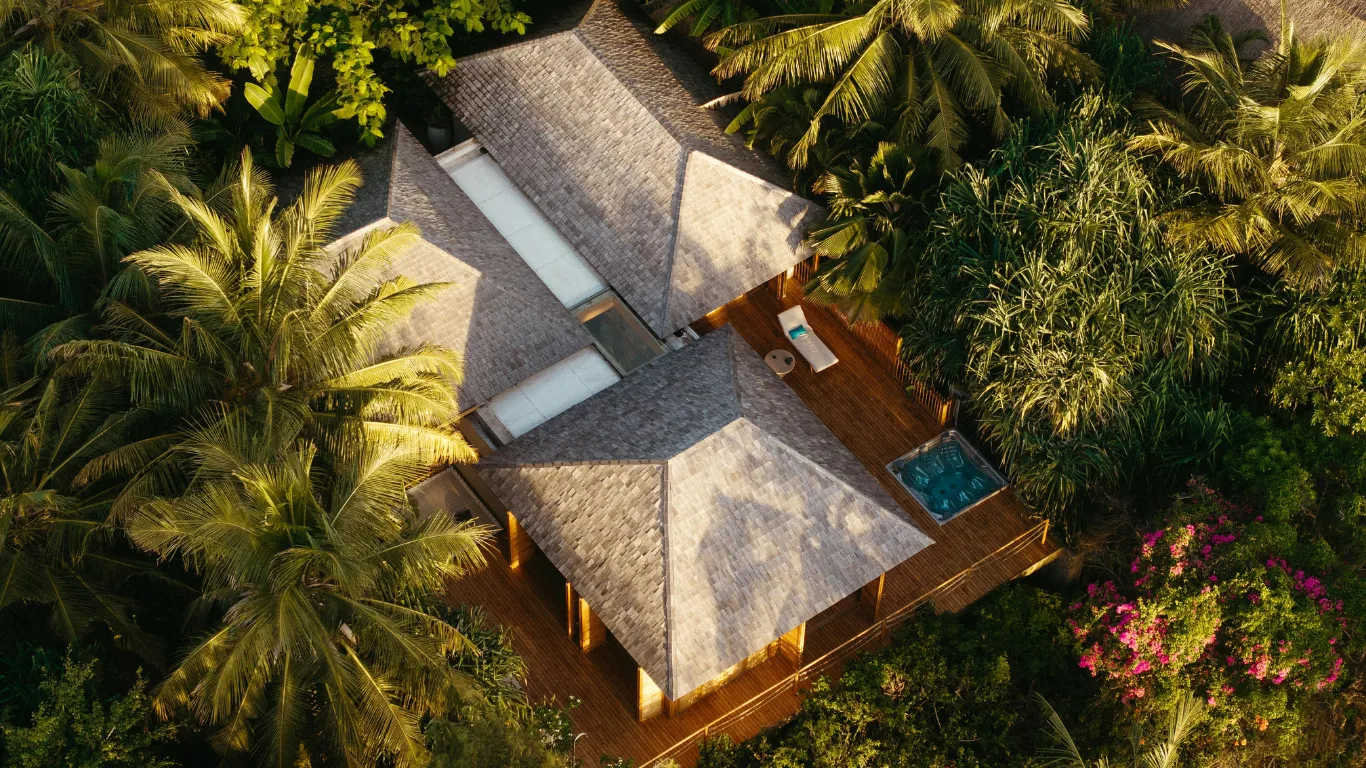Conceptual low-impact lodging among tropical vegetation