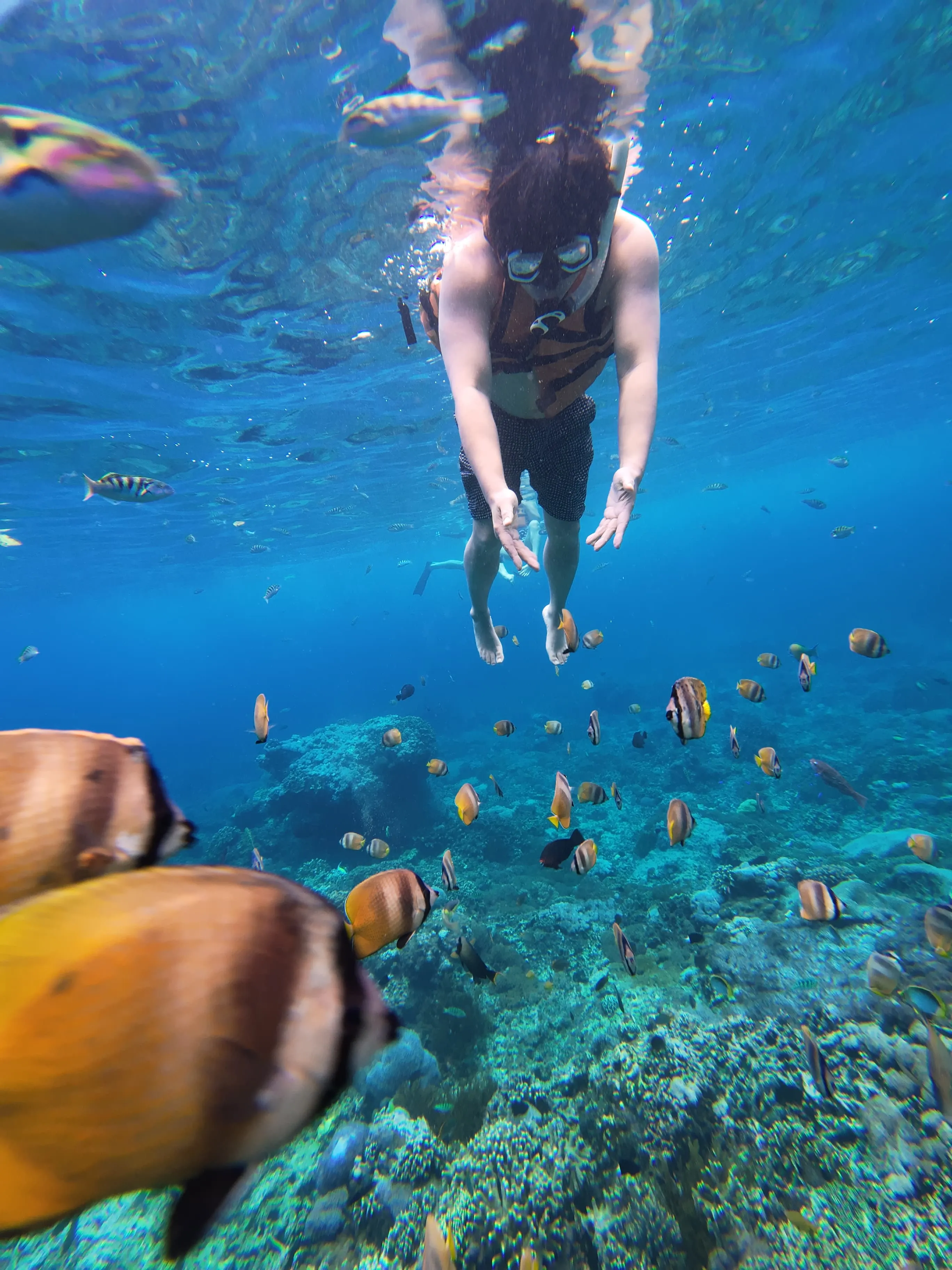 Tanah Lot Ocean Temple - Stefano Arya Ardika Tour