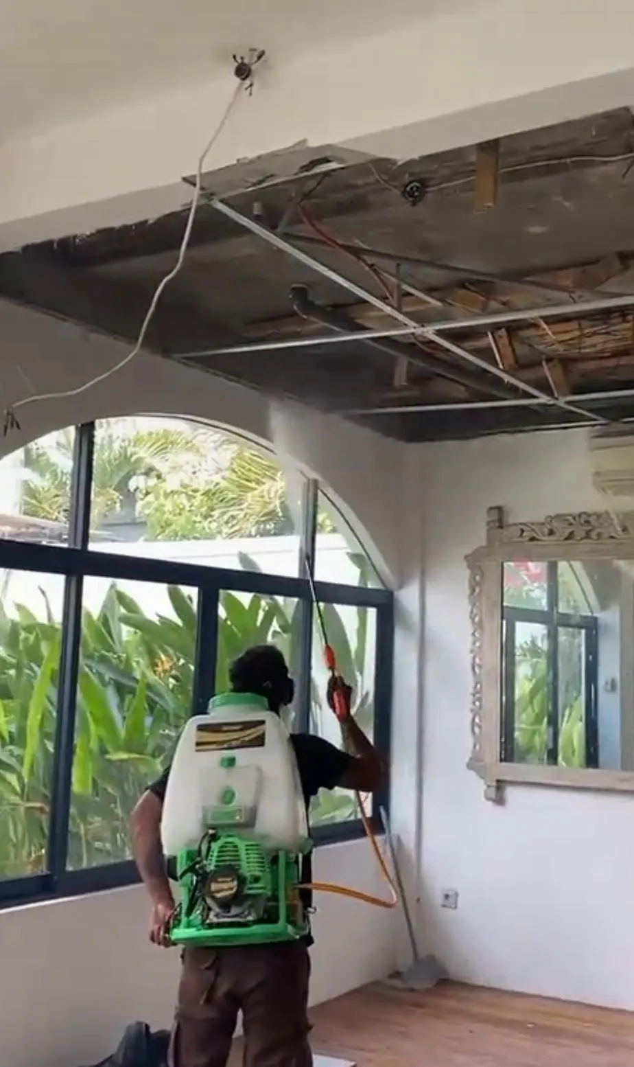 Termite damage on timber