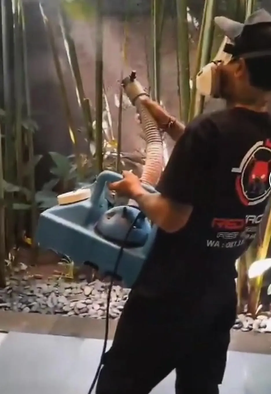 Termite damage on timber in a Bali house