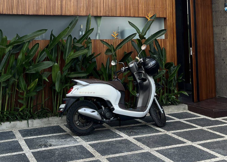 Honda Scoopy