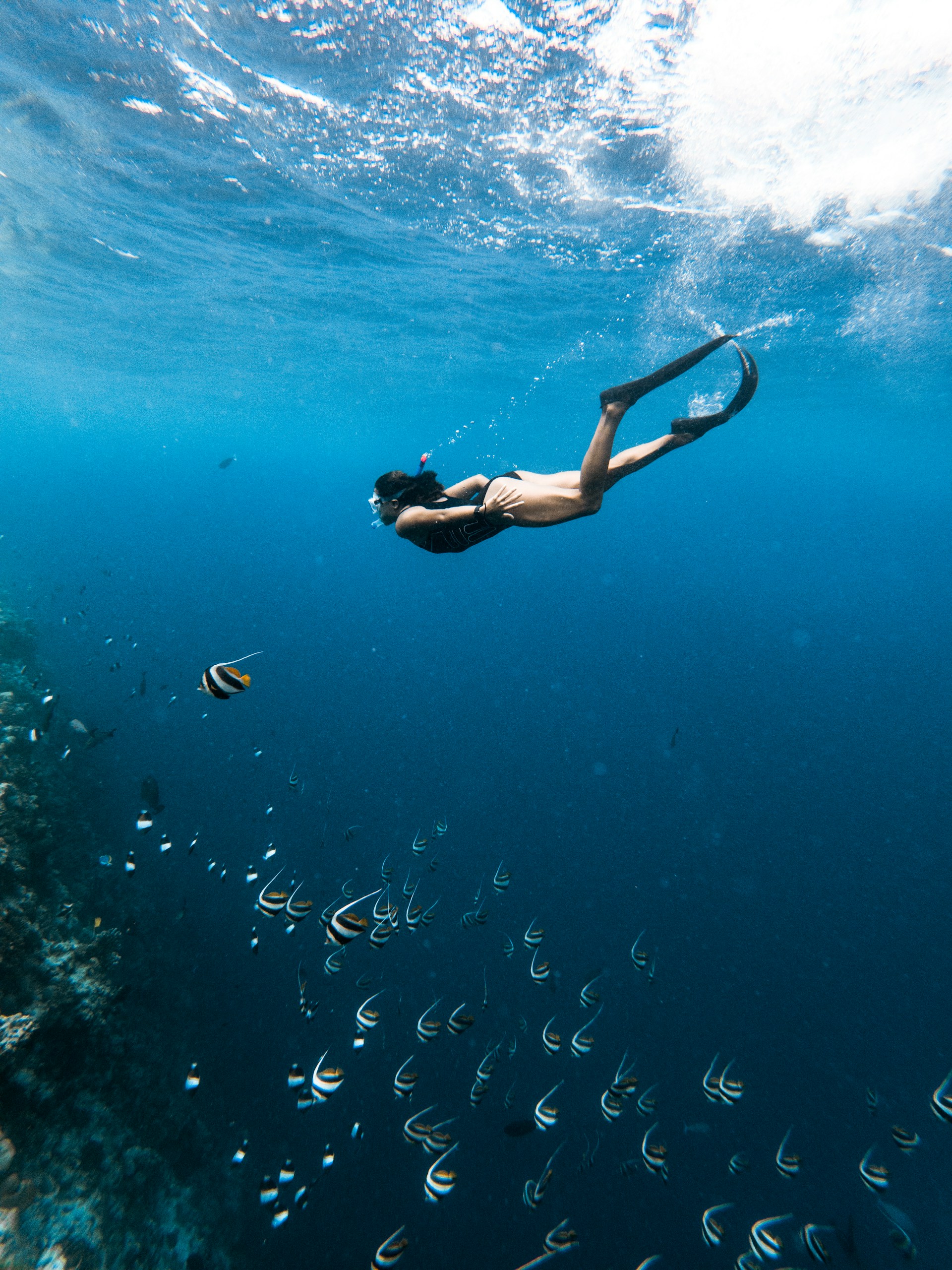 Snorkeling gear laid out beside shallow turquoise water