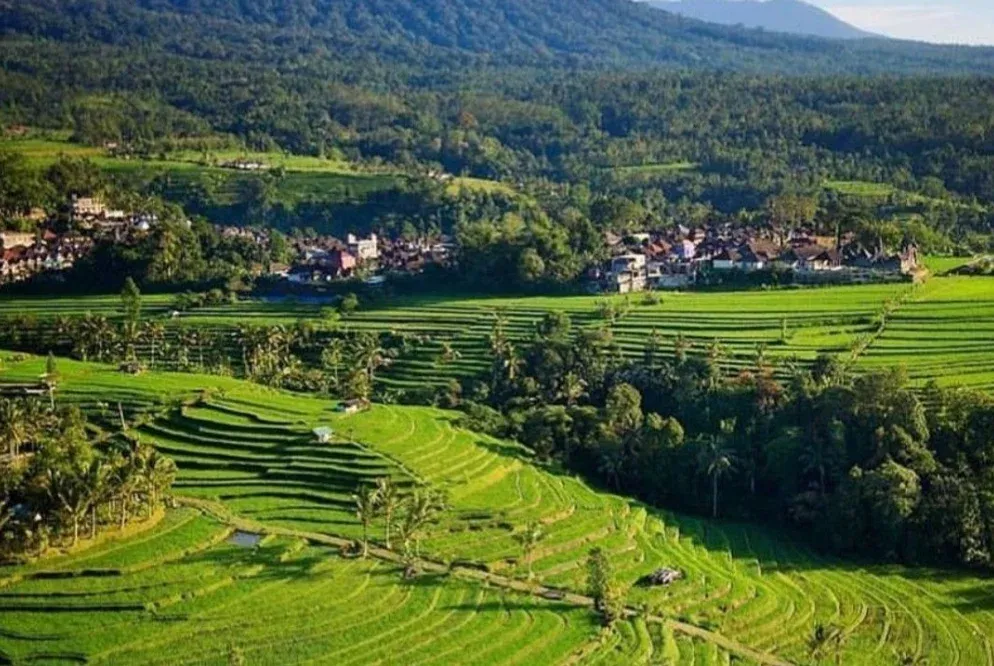 Temples, Ancient Village & Jatiluwih