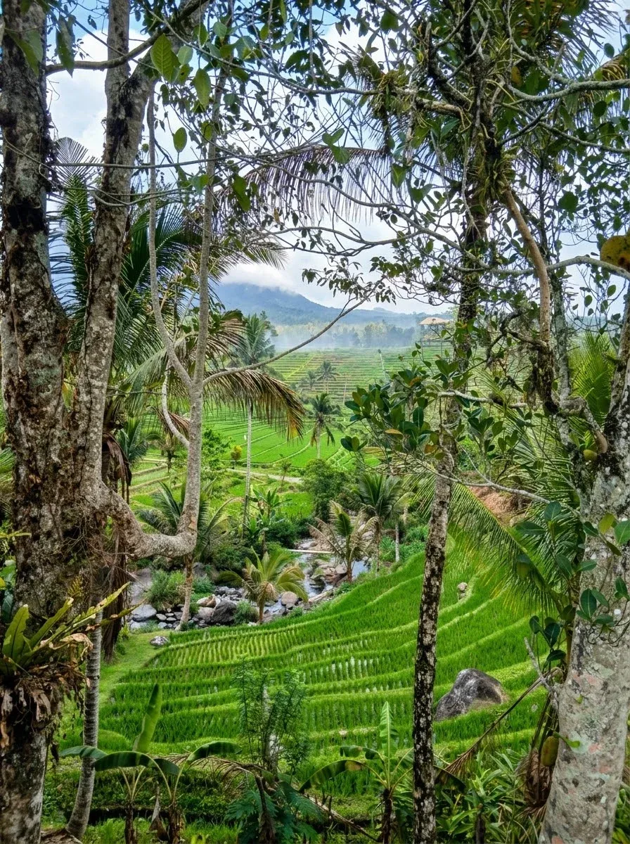 Sourire de Bali gallery