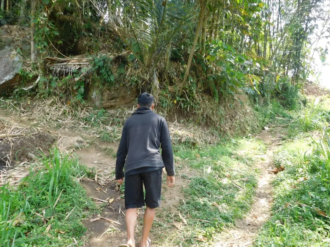 Guide walking a forest trail