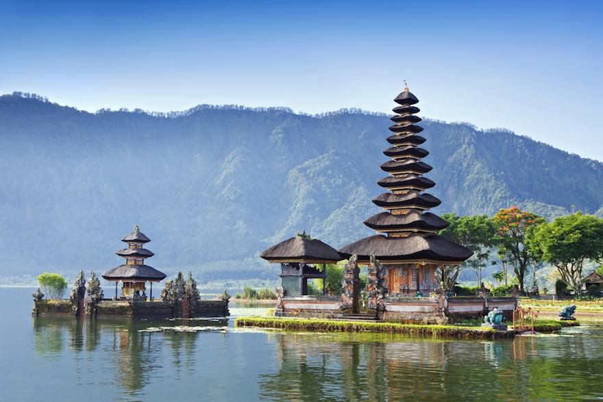 Lush green rice terraces and palm trees in Ubud, Bali